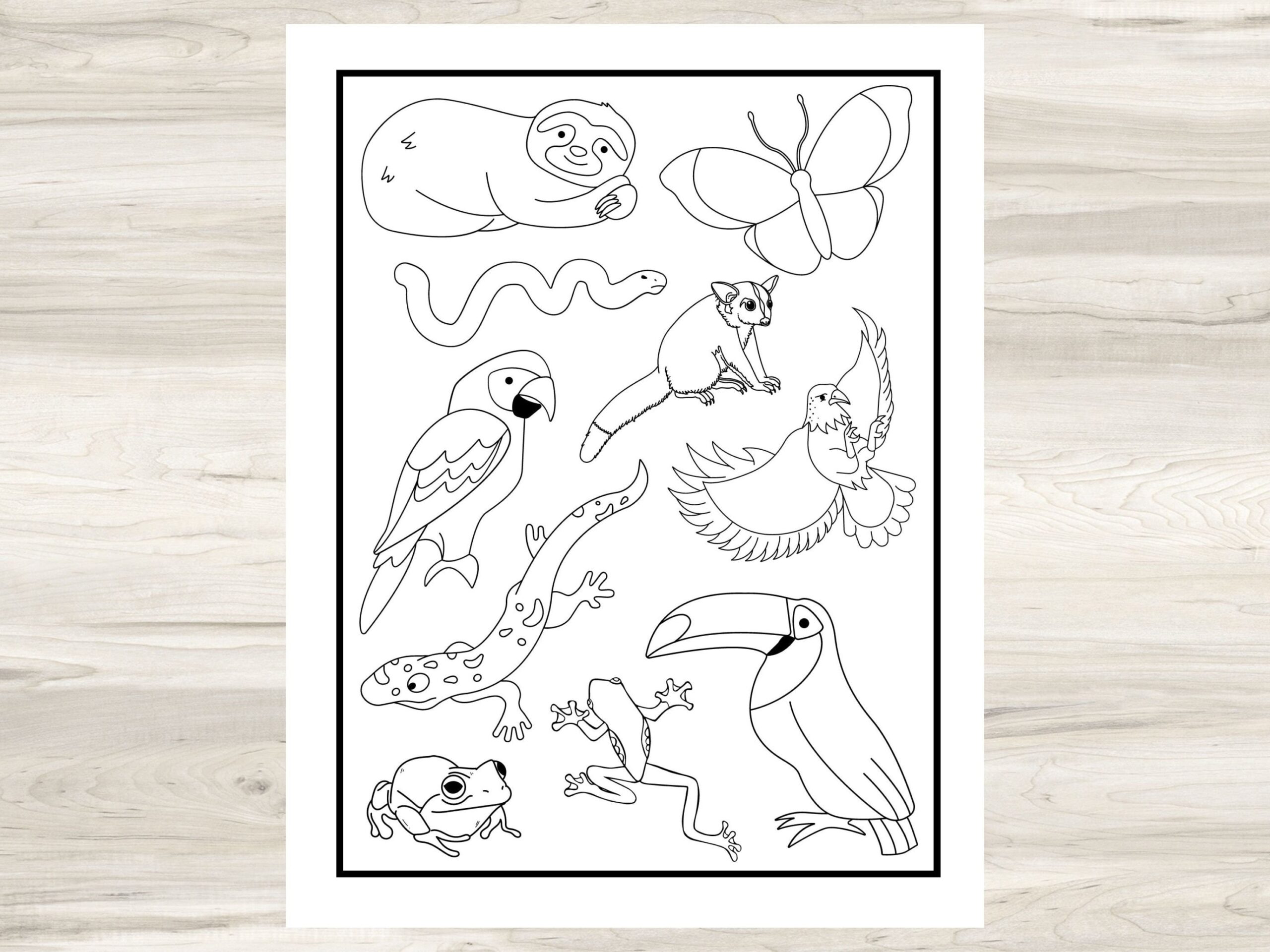 Rainforest Animals Printable Coloring Page For Kids 8 5 X 11 Coloring Activity Sheet Print At Home Activity For Classroom Or Homeschool Etsy Rainforest Animals Printable Coloring Page For Kids 8 5 X 11 Coloring Activity Sheet Print At Home Activity For Classroom Or Homeschool Etsy
