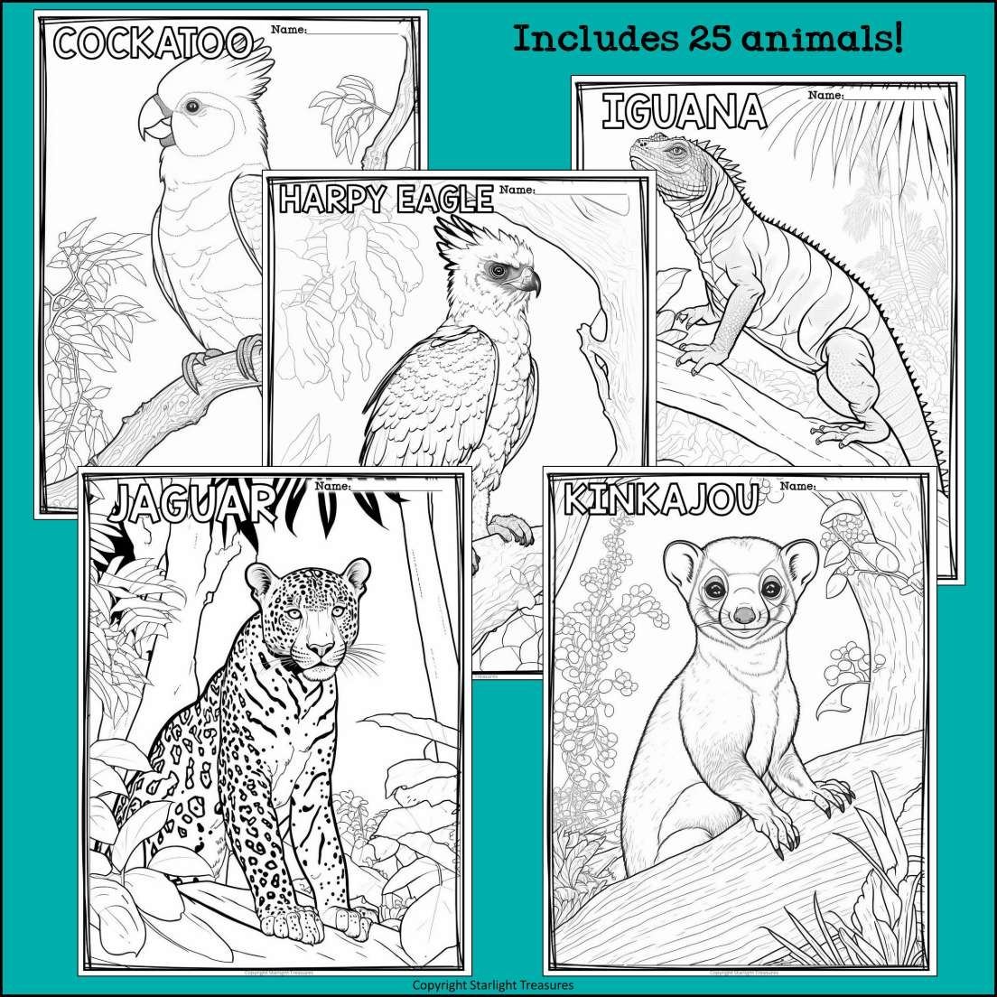 coloring pages of rainforest animals coloring pages of rainforest animals