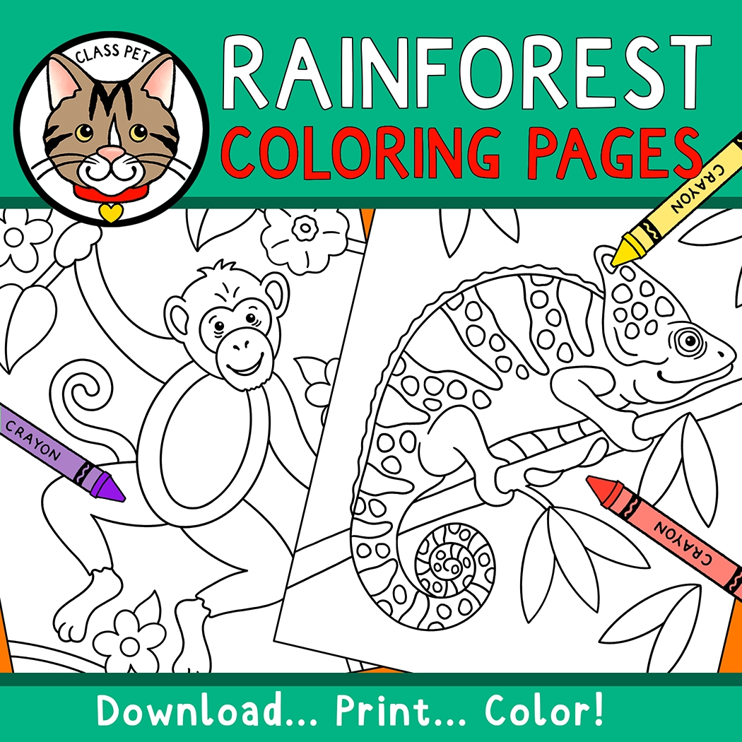 Rainforest Coloring Pages Made By Teachers Rainforest Coloring Pages Made By Teachers