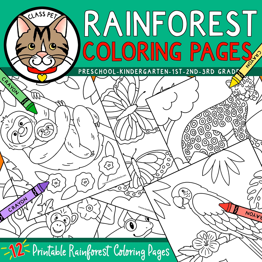 animals of the rainforest coloring pages animals of the rainforest coloring pages