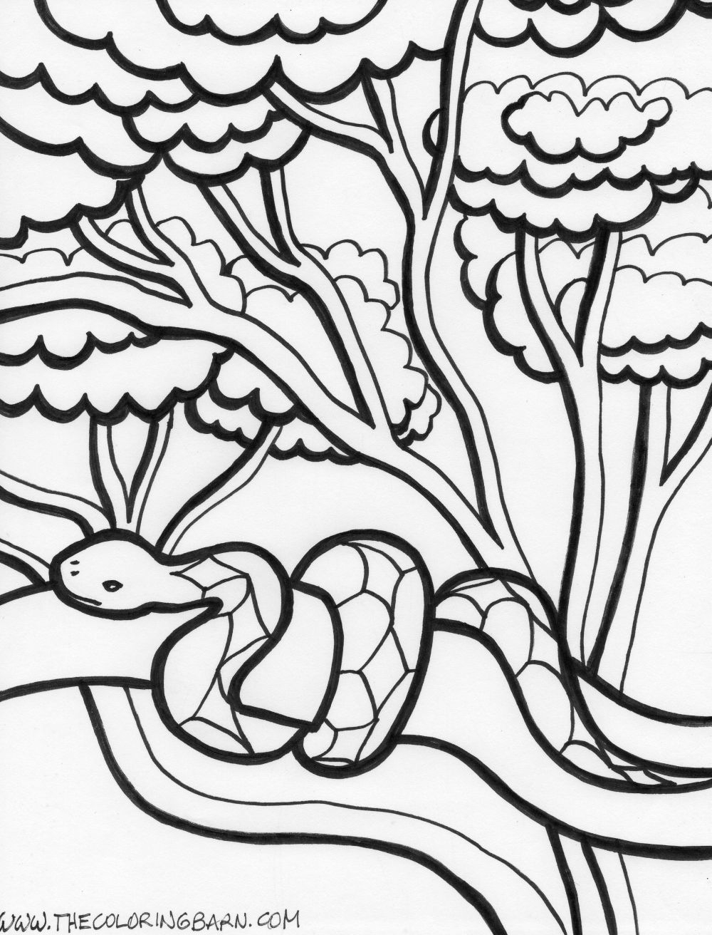 Rainforest Coloring Pages The Coloring Barn Worksheets Library Rainforest Coloring Pages The Coloring Barn Worksheets Library