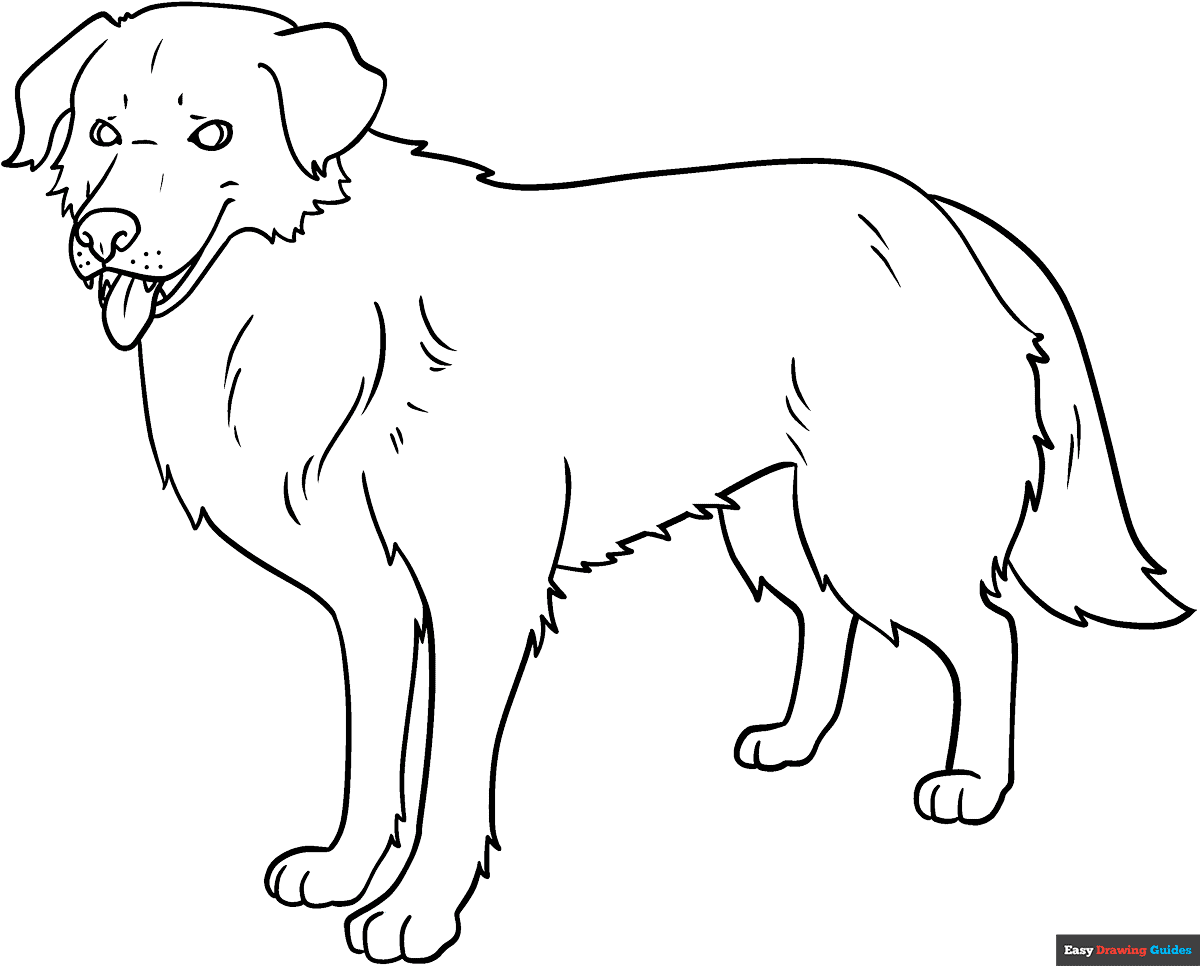 real dog coloring pages real dog coloring pages