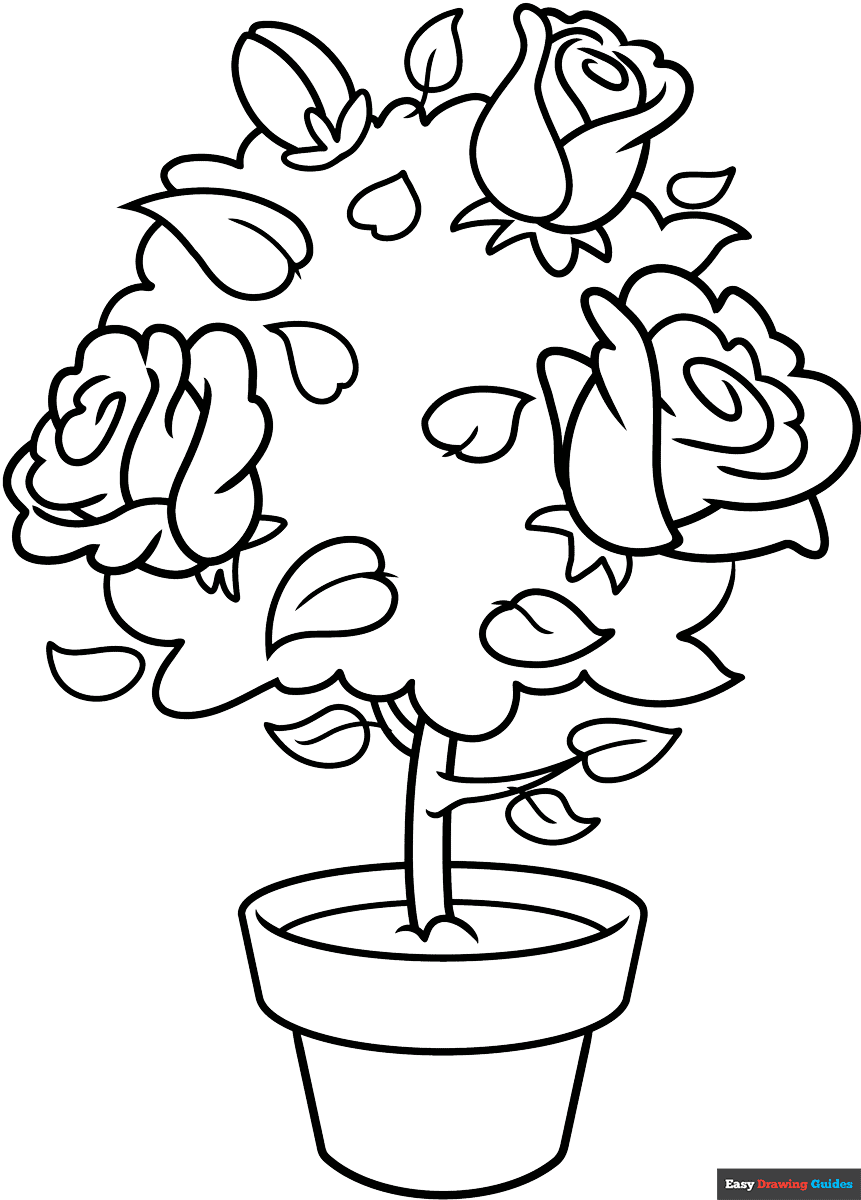 Rose Bush Coloring Page Easy Drawing Guides Rose Bush Coloring Page Easy Drawing Guides