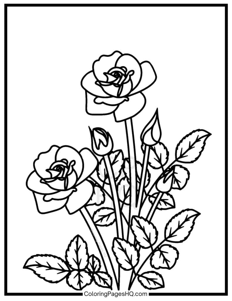 Rose Bush Coloring Pages Free PDF Printables Coloring Pages HQ Rose Bush Coloring Pages Free PDF Printables Coloring Pages HQ