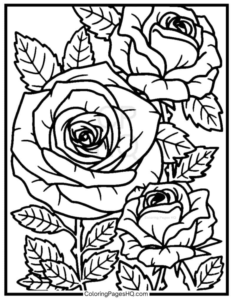 Rose Bush Coloring Pages Free PDF Printables Coloring Pages HQ Rose Bush Coloring Pages Free PDF Printables Coloring Pages HQ
