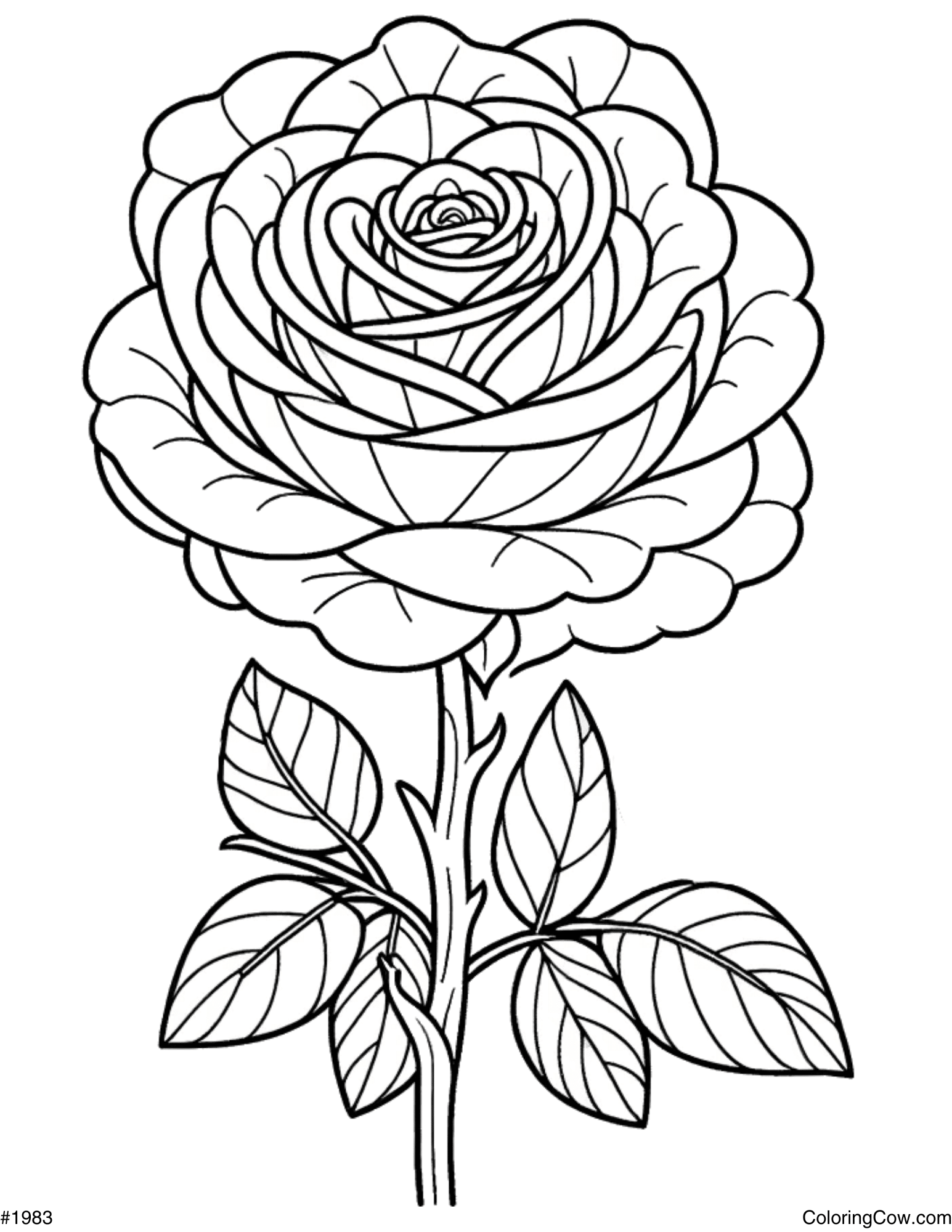 rose coloring pages printable rose coloring pages printable