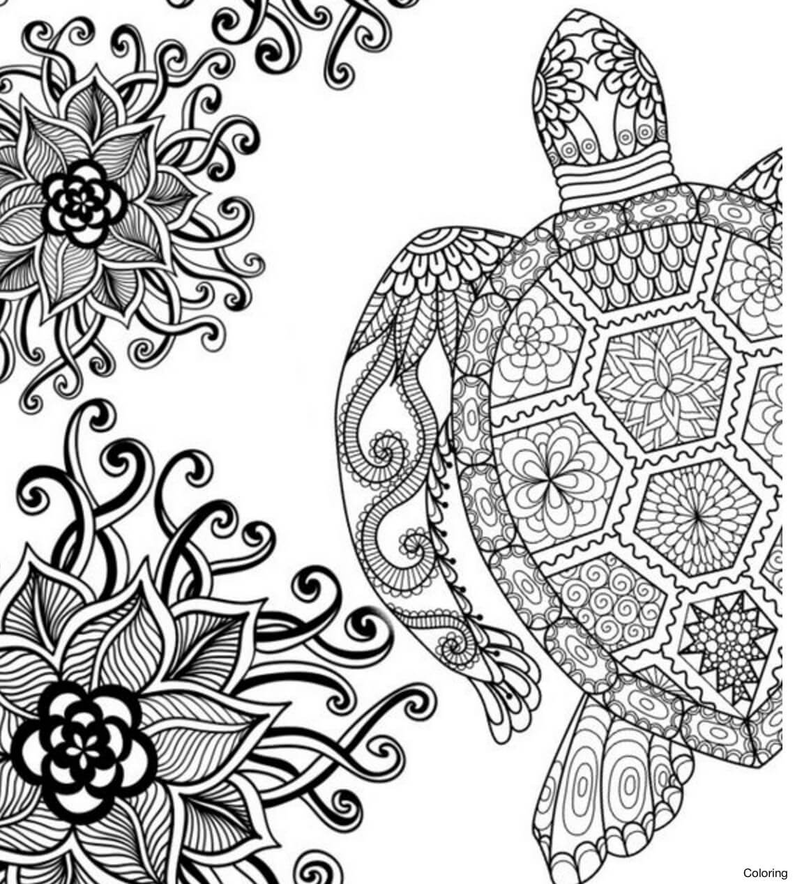 Sea Turtle Coloring Pages Printable Coloring Pages Worksheets Library Sea Turtle Coloring Pages Printable Coloring Pages Worksheets Library