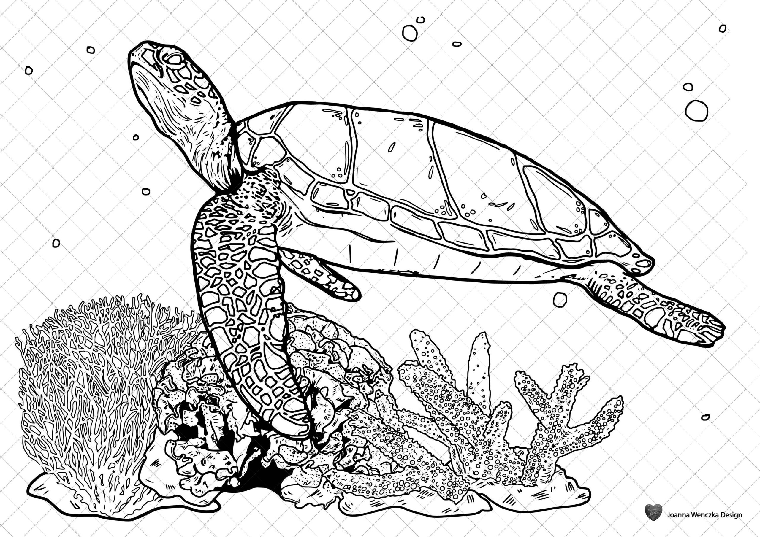 Sea Turtle Colouring Page Printable Coloring Page For Adults Children Instant Download Turtle Coloring Page Sea Turtle Coloring Sheet Etsy Sea Turtle Colouring Page Printable Coloring Page For Adults Children Instant Download Turtle Coloring Page Sea Turtle Coloring Sheet Etsy