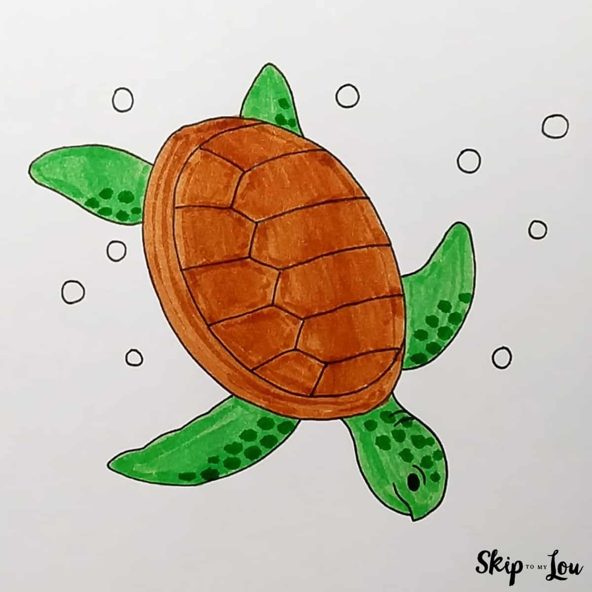 Sea Turtle Drawing Skip To My Lou Sea Turtle Drawing Skip To My Lou