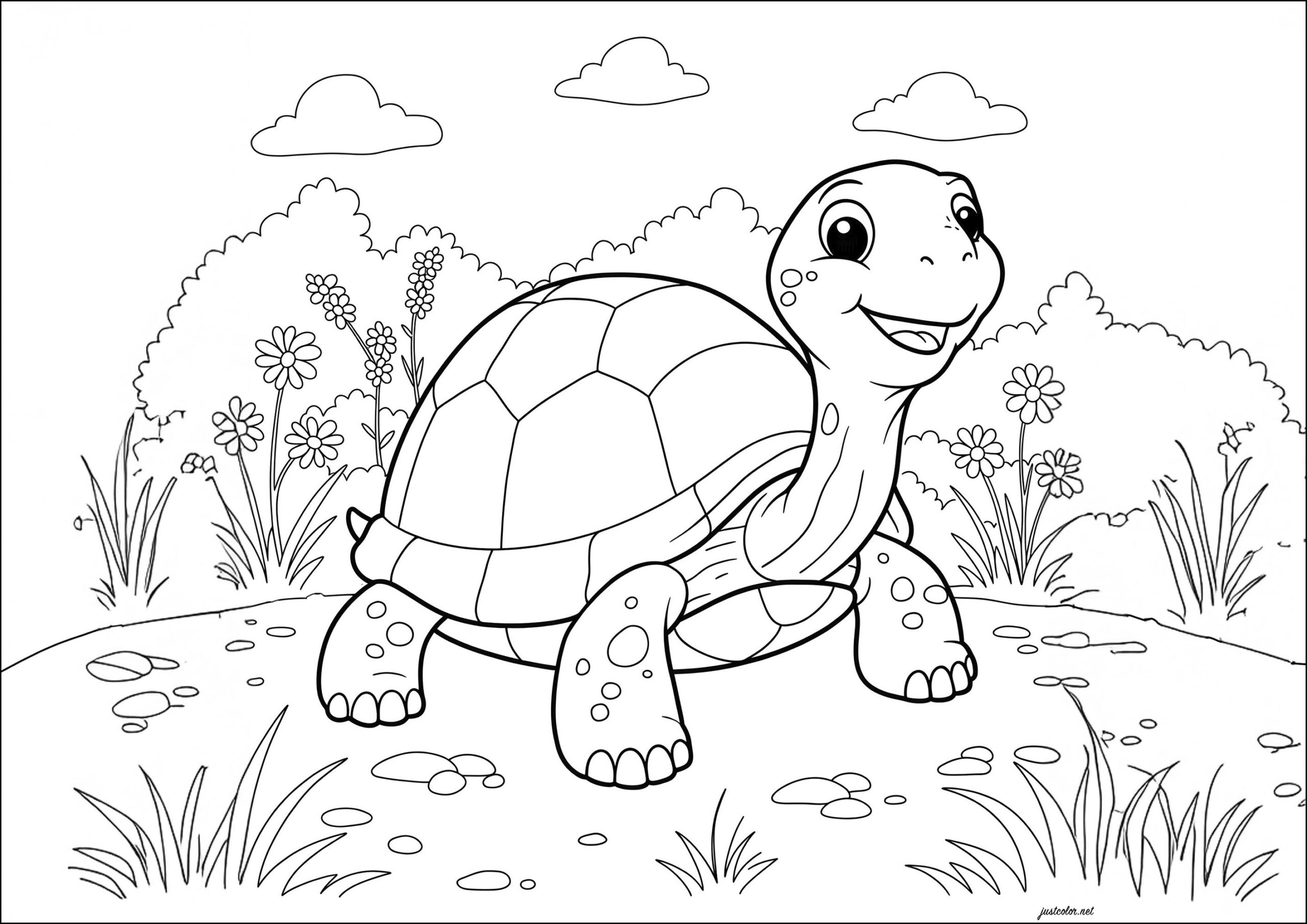 Smiling Turtle Turtle Coloring Pages Smiling Turtle Turtle Coloring Pages