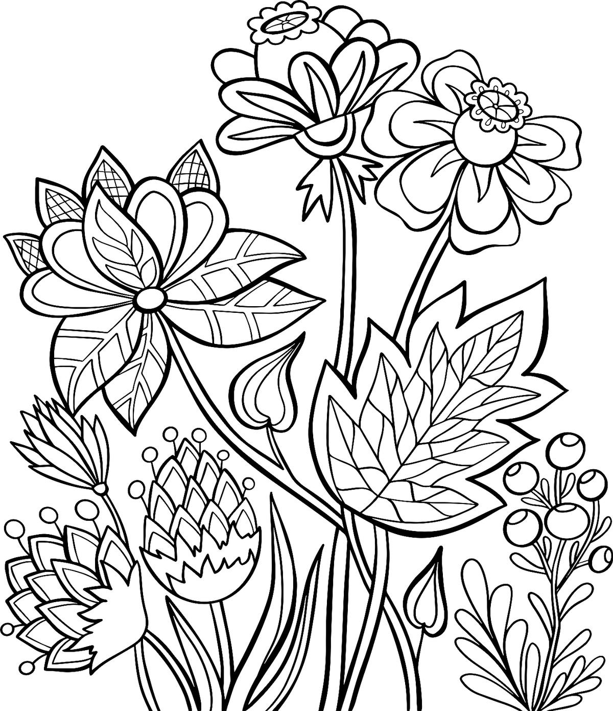 images of flowers to color