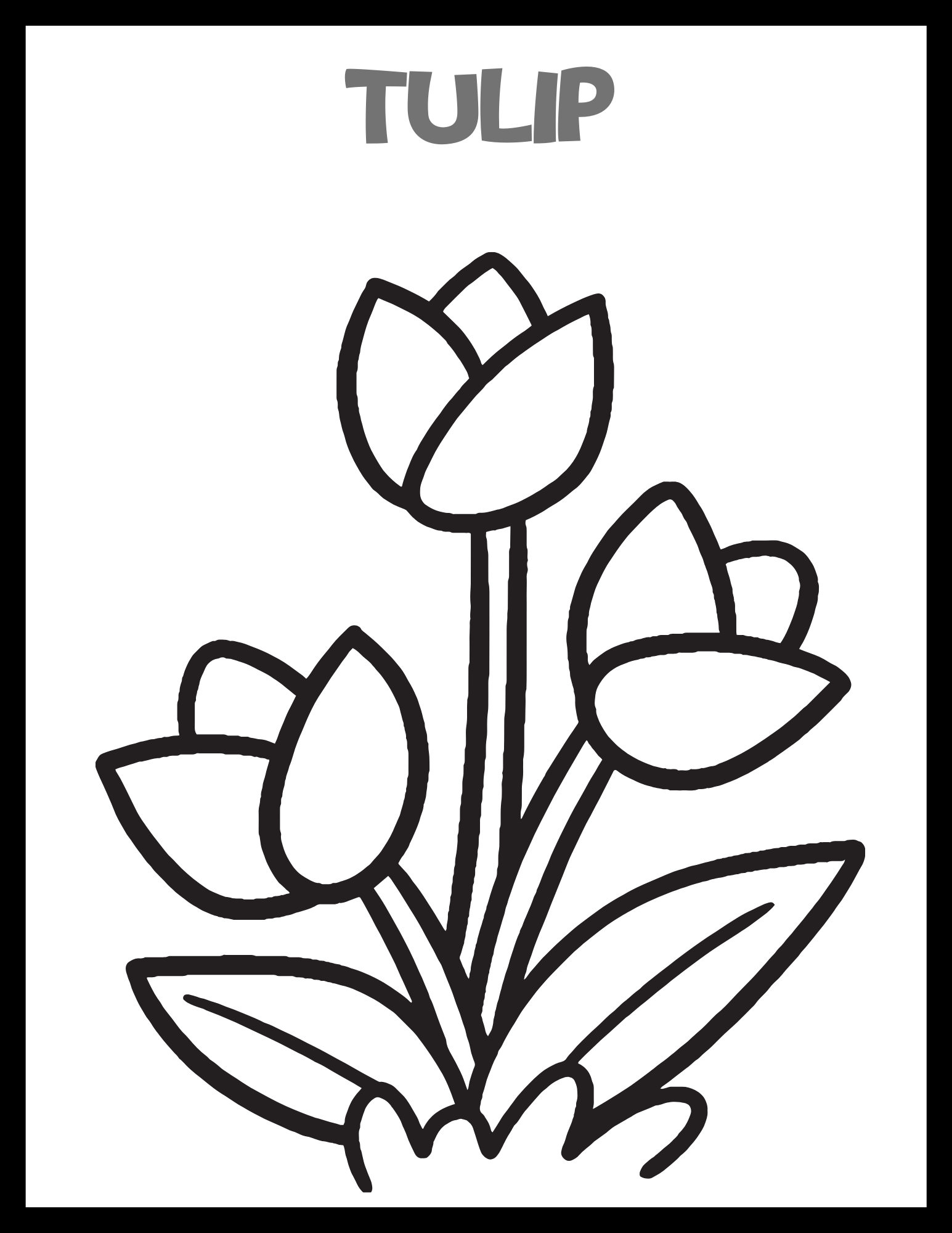 Spring Flowers Coloring Pages Made By Teachers Spring Flowers Coloring Pages Made By Teachers