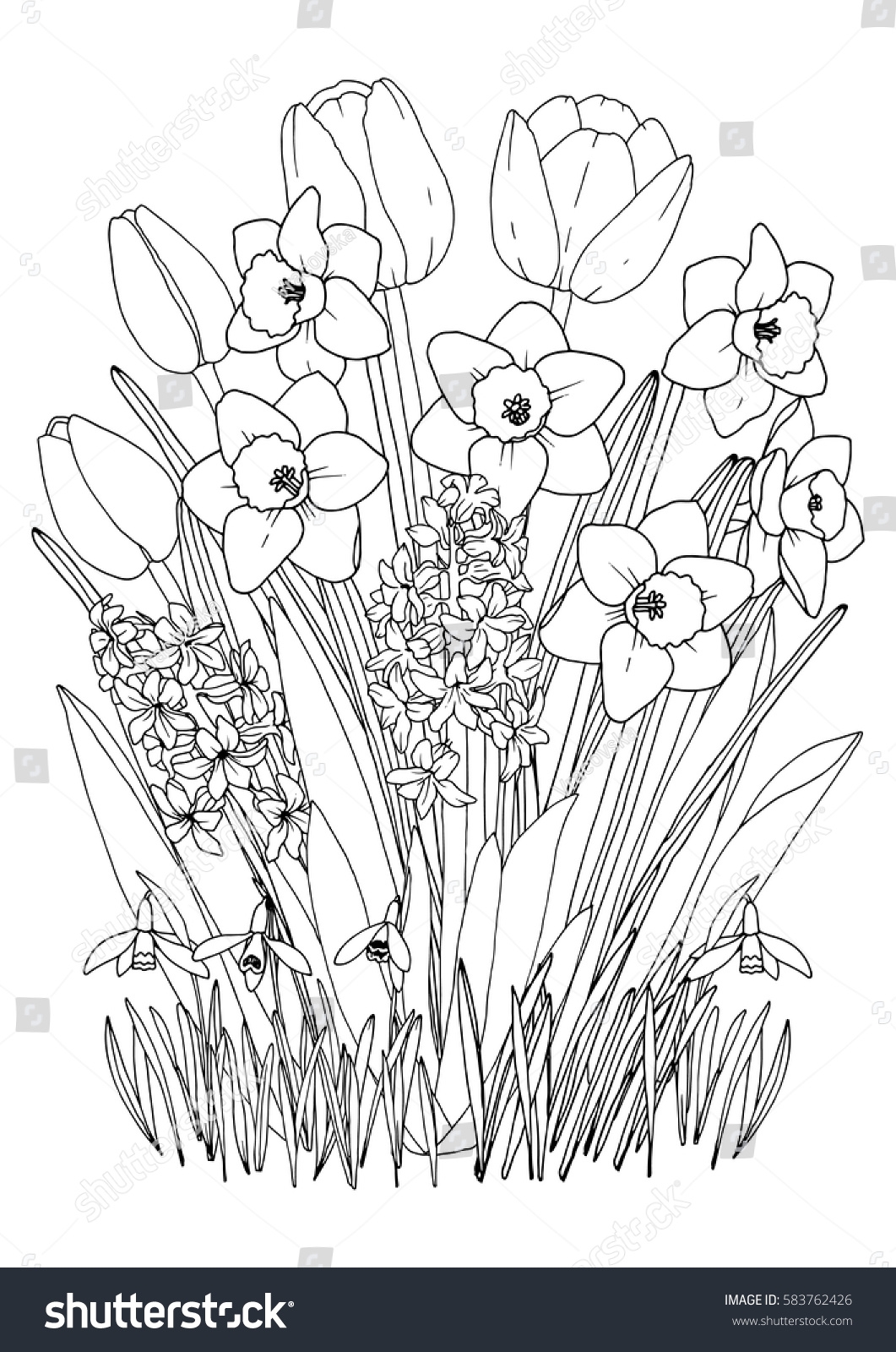 Spring Garden Flowers Coloring Page Daffodils Stock Vector Royalty Free 583762426 Shutterstock Spring Garden Flowers Coloring Page Daffodils Stock Vector Royalty Free 583762426 Shutterstock