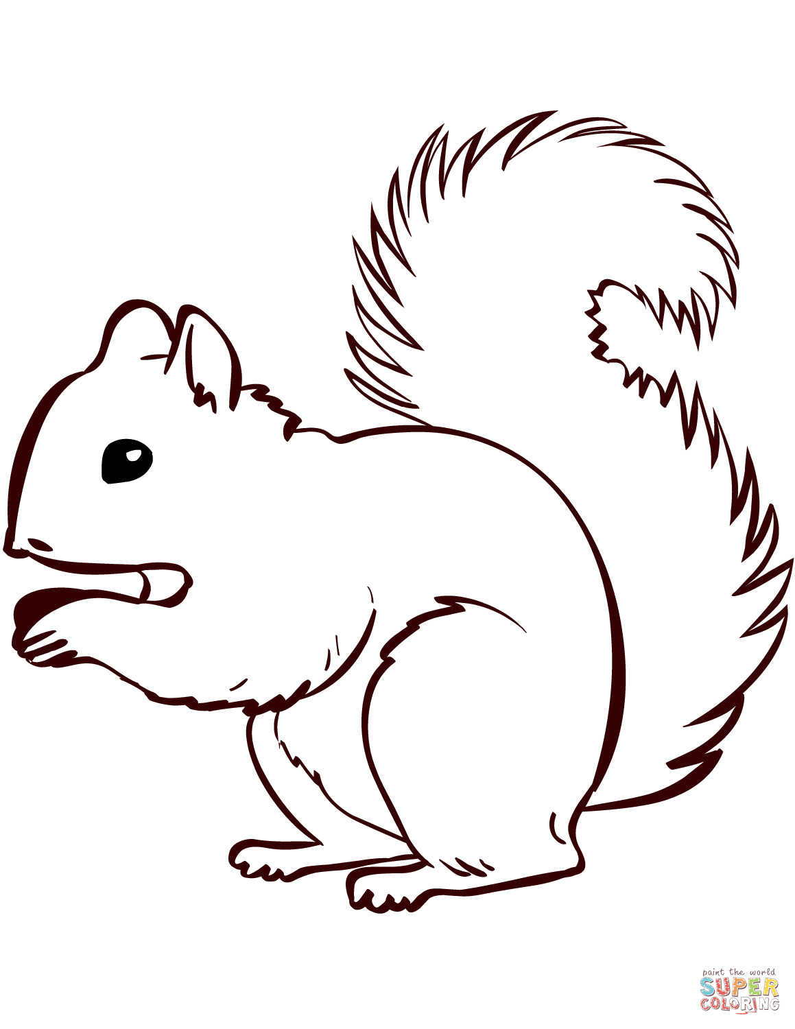 coloring picture of squirrel coloring picture of squirrel