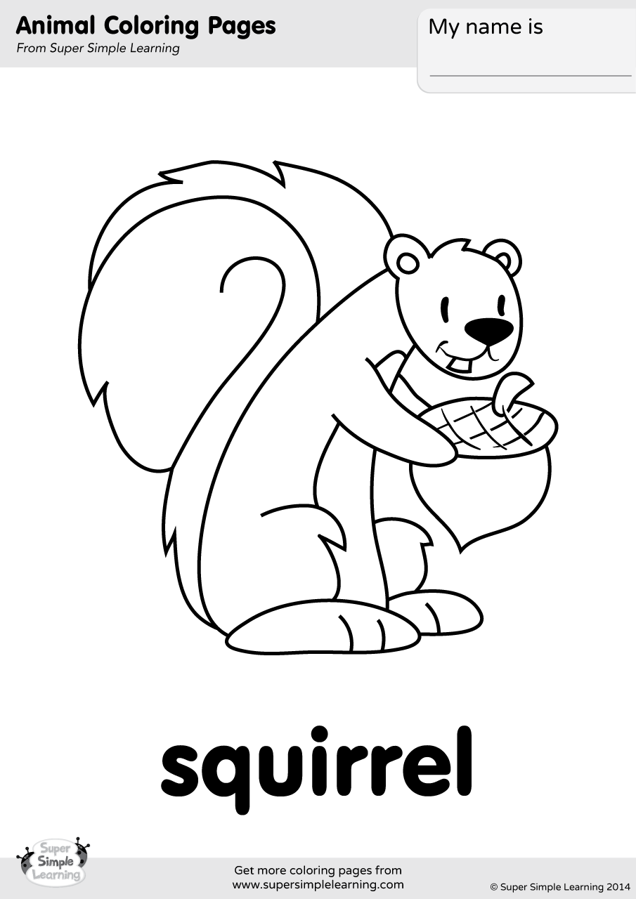 Squirrel Coloring Page Super Simple Squirrel Coloring Page Super Simple