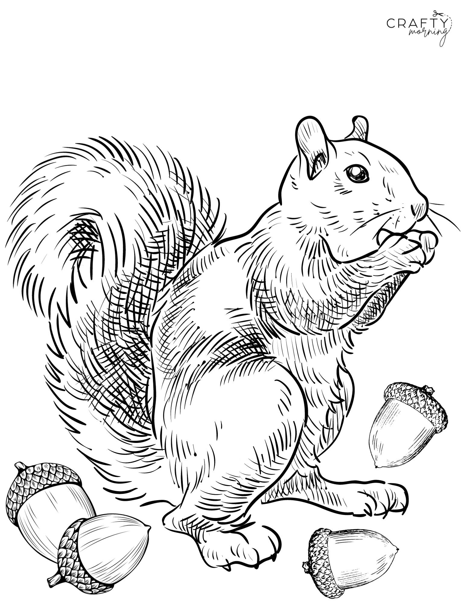 Squirrel Coloring Pages To Print Crafty Morning Squirrel Coloring Pages To Print Crafty Morning