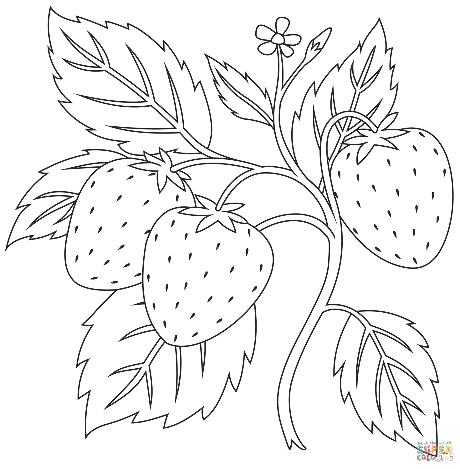 Strawberry Coloring Page Printable Strawberry Coloring Page Printable