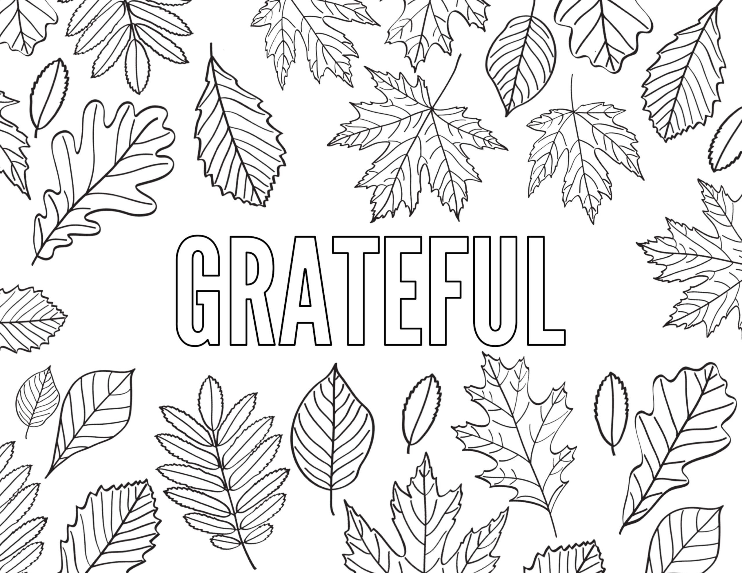 Thanksgiving Coloring Pages Free Printable Paper Trail Design