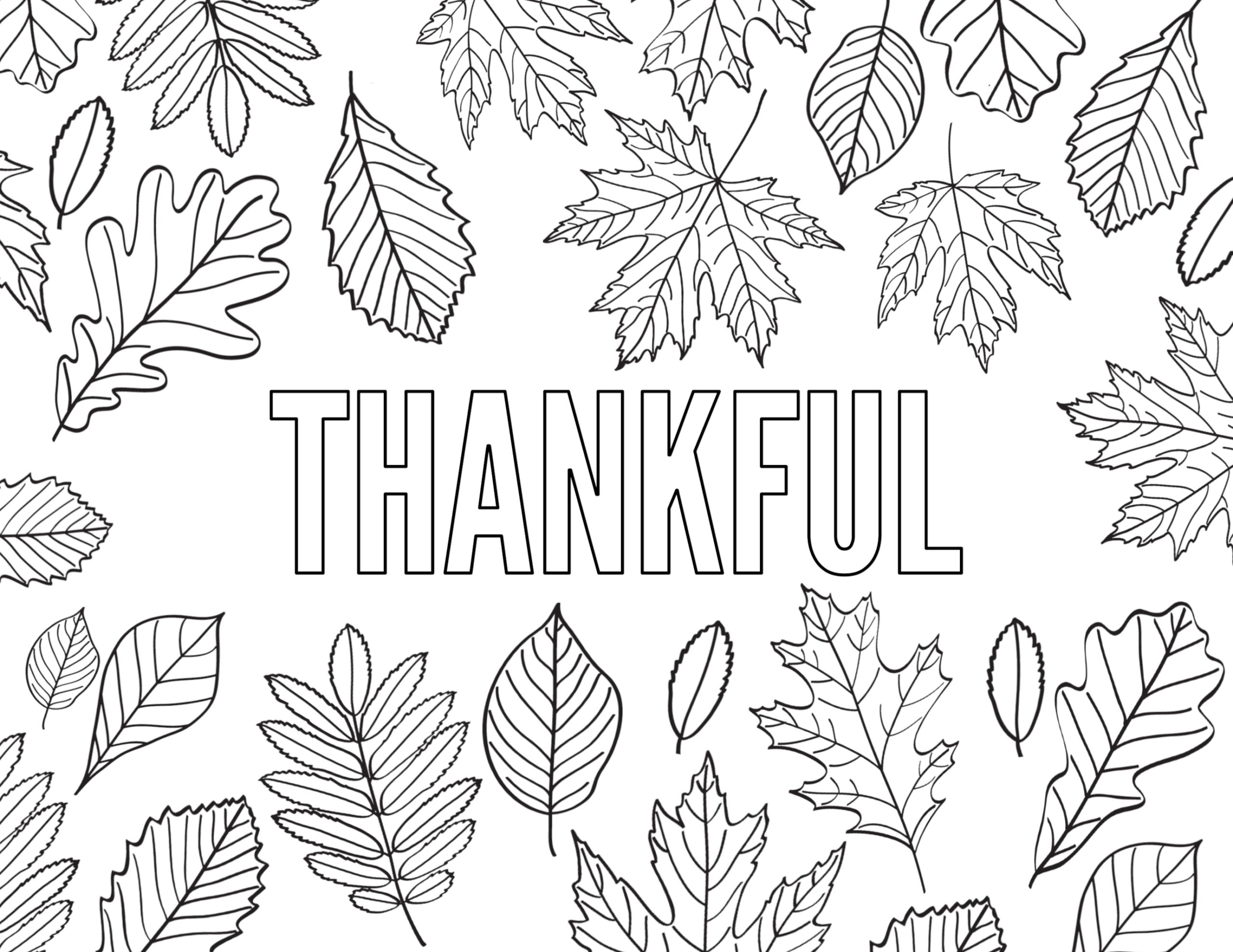 Thanksgiving Coloring Pages Free Printable Paper Trail Design