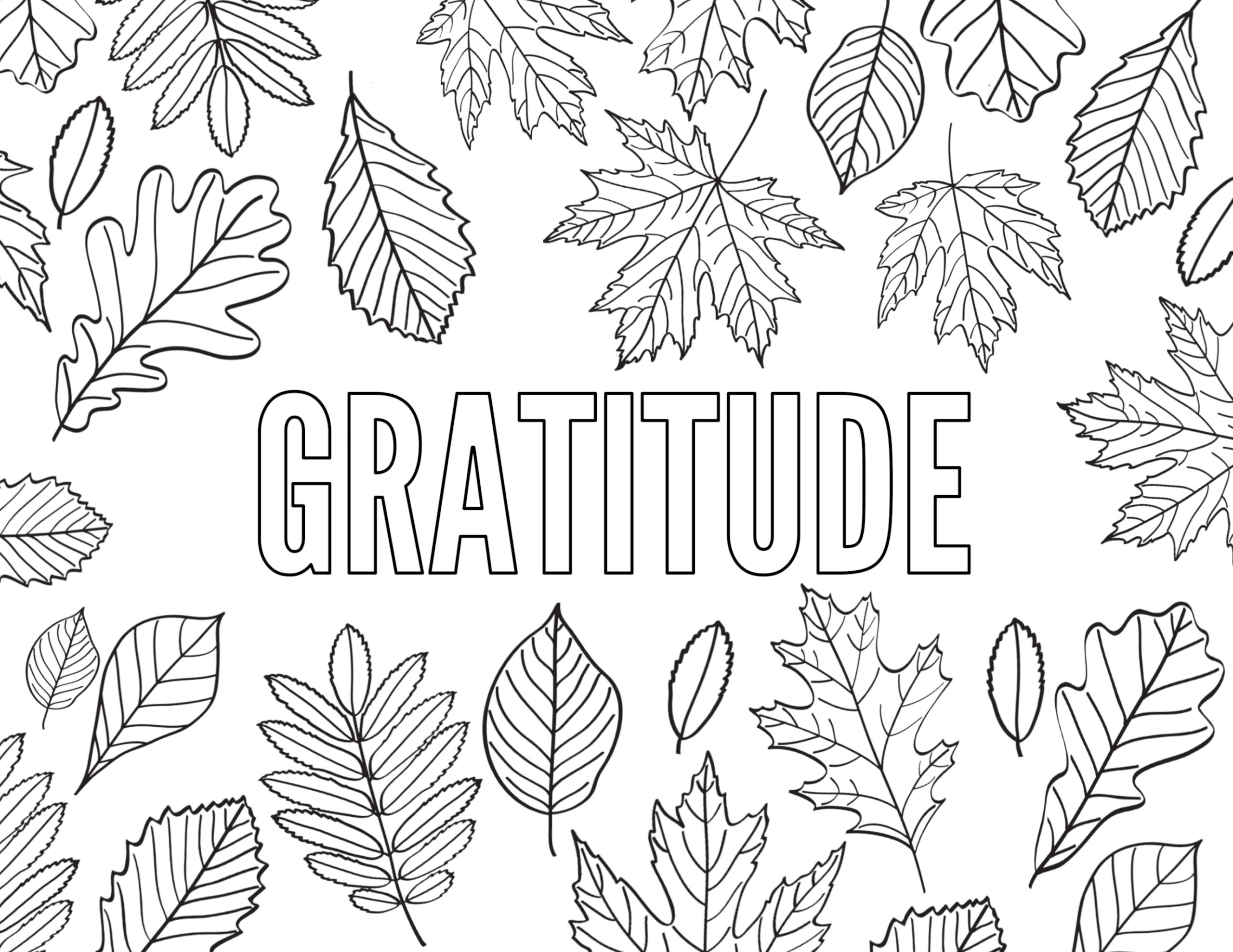 Thanksgiving Coloring Pages Free Printable Paper Trail Design Thanksgiving Coloring Pages Free Printable Paper Trail Design