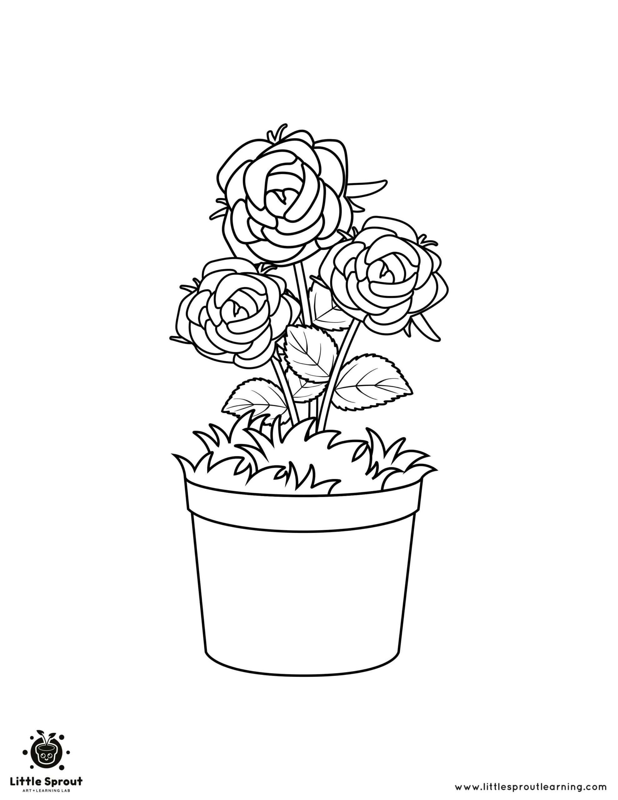 Thorny Rose Coloring Page Little Sprout Art Learning Lab Thorny Rose Coloring Page Little Sprout Art Learning Lab