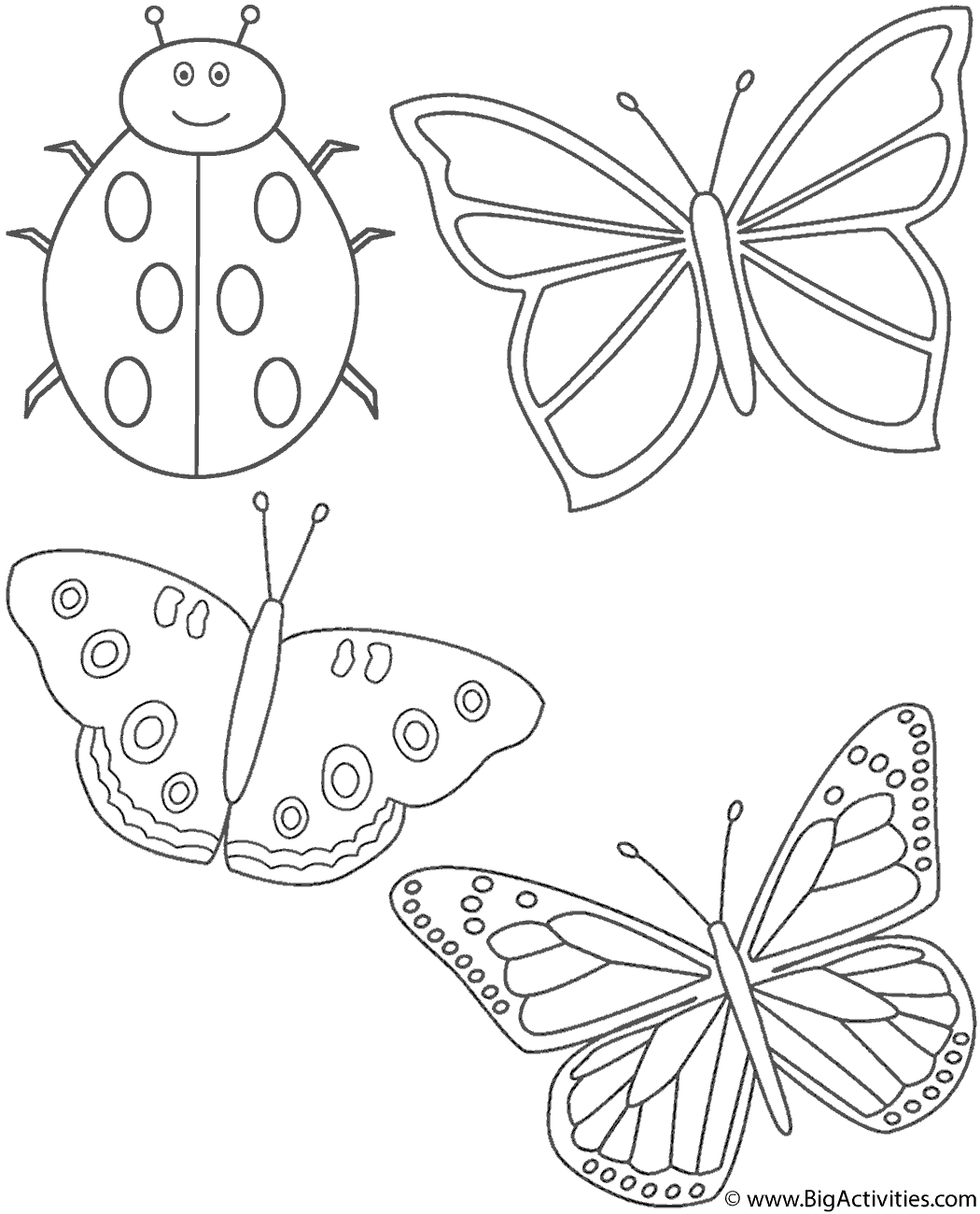 butterfly pictures to colour and print butterfly pictures to colour and print