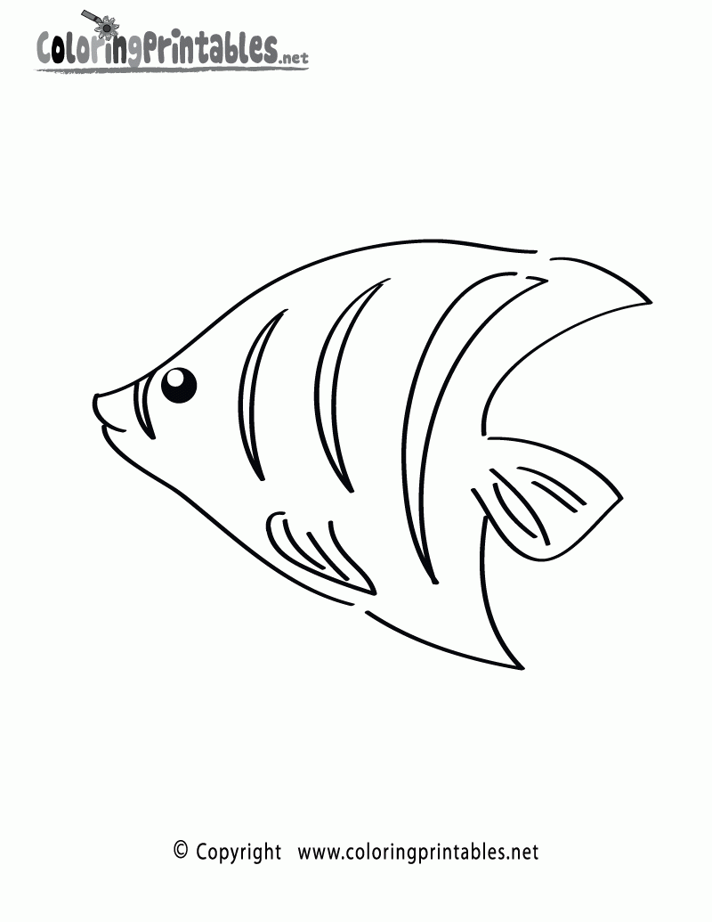 print fish coloring pages