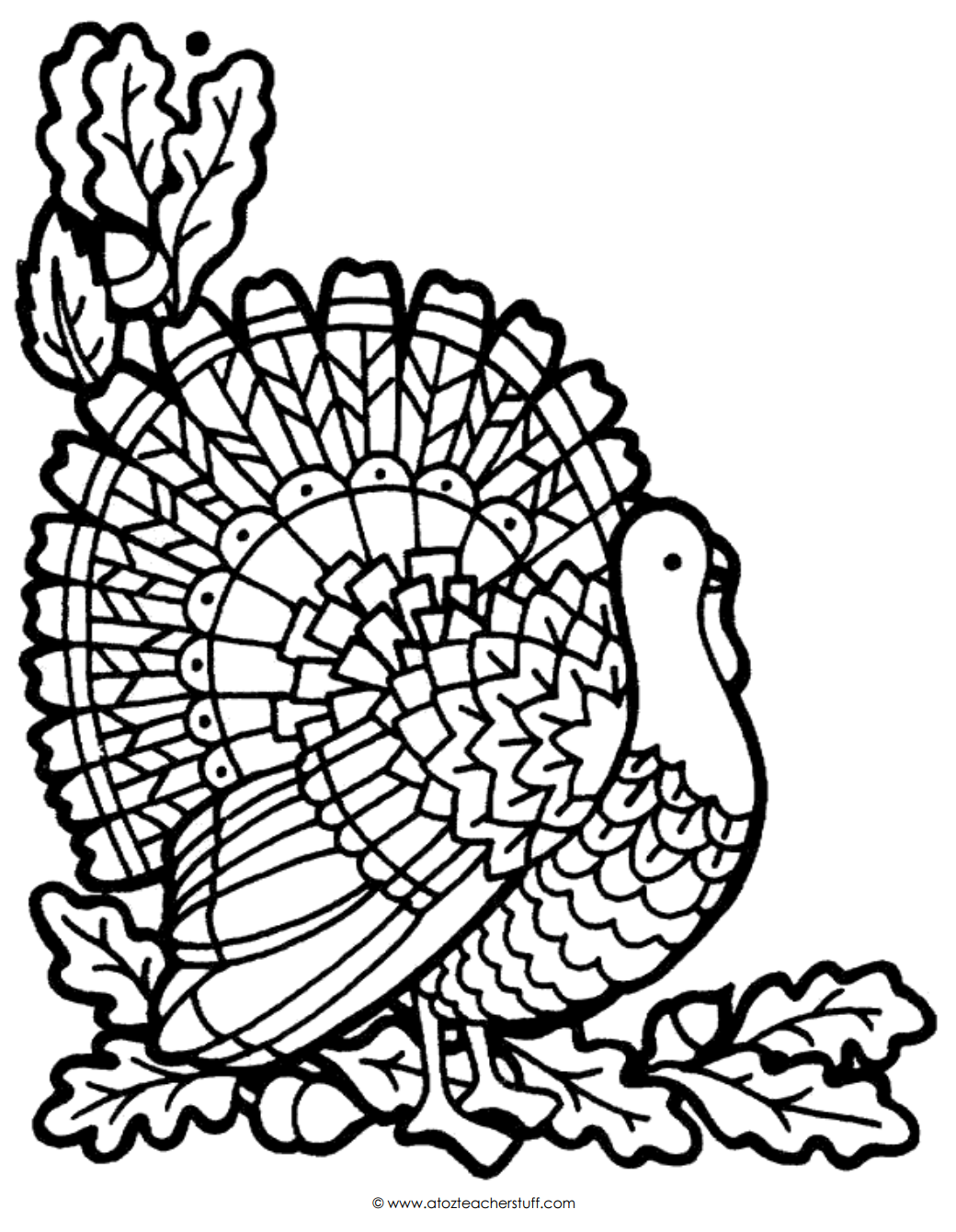thanksgiving turkey coloring page
