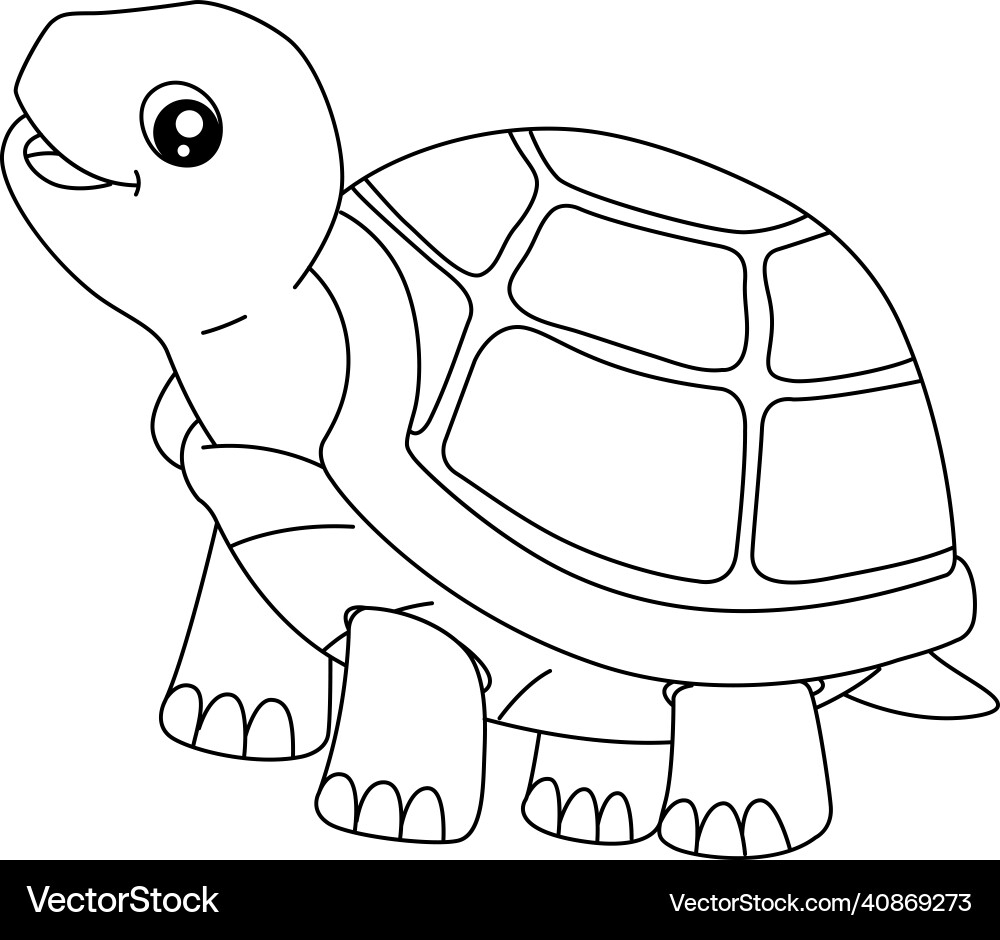Turtle Coloring Page For Isolated Kids Royalty Free Vector