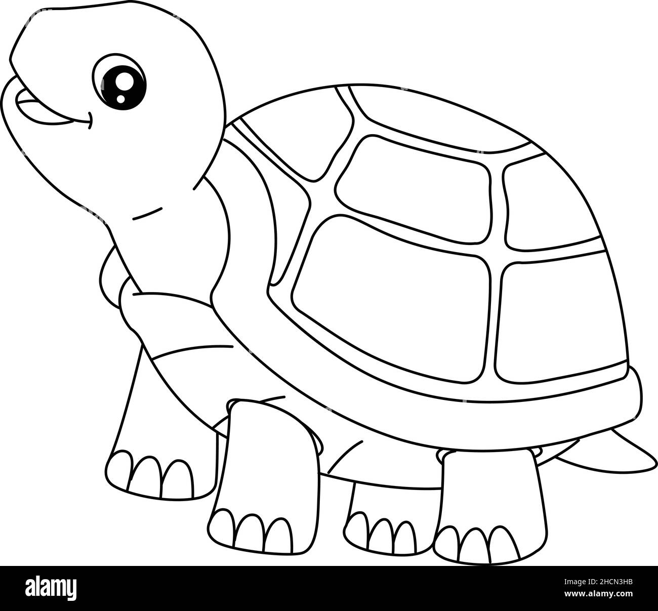 Turtle Coloring Page For Isolated Kids Stock Vector Image Art Alamy Turtle Coloring Page For Isolated Kids Stock Vector Image Art Alamy