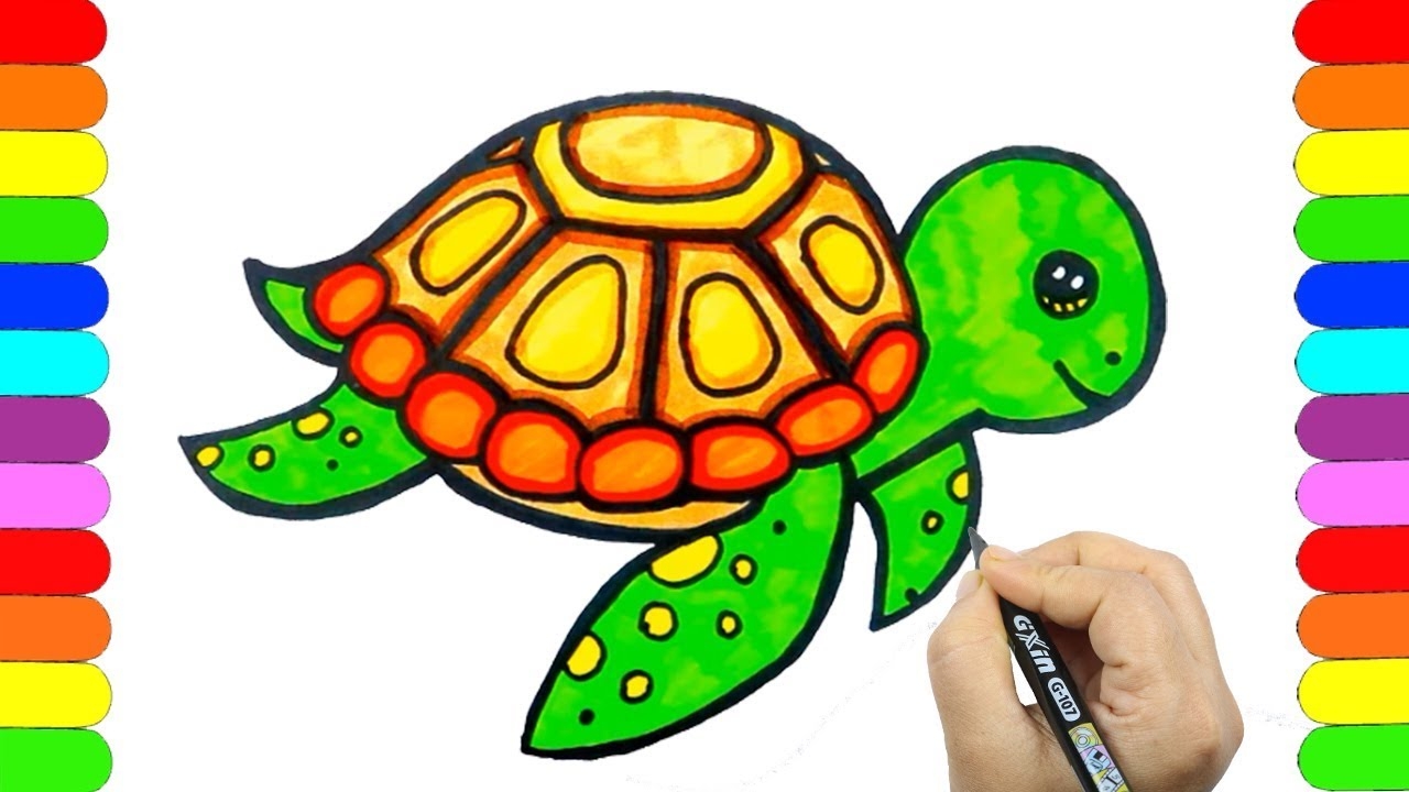 color picture of a turtle color picture of a turtle