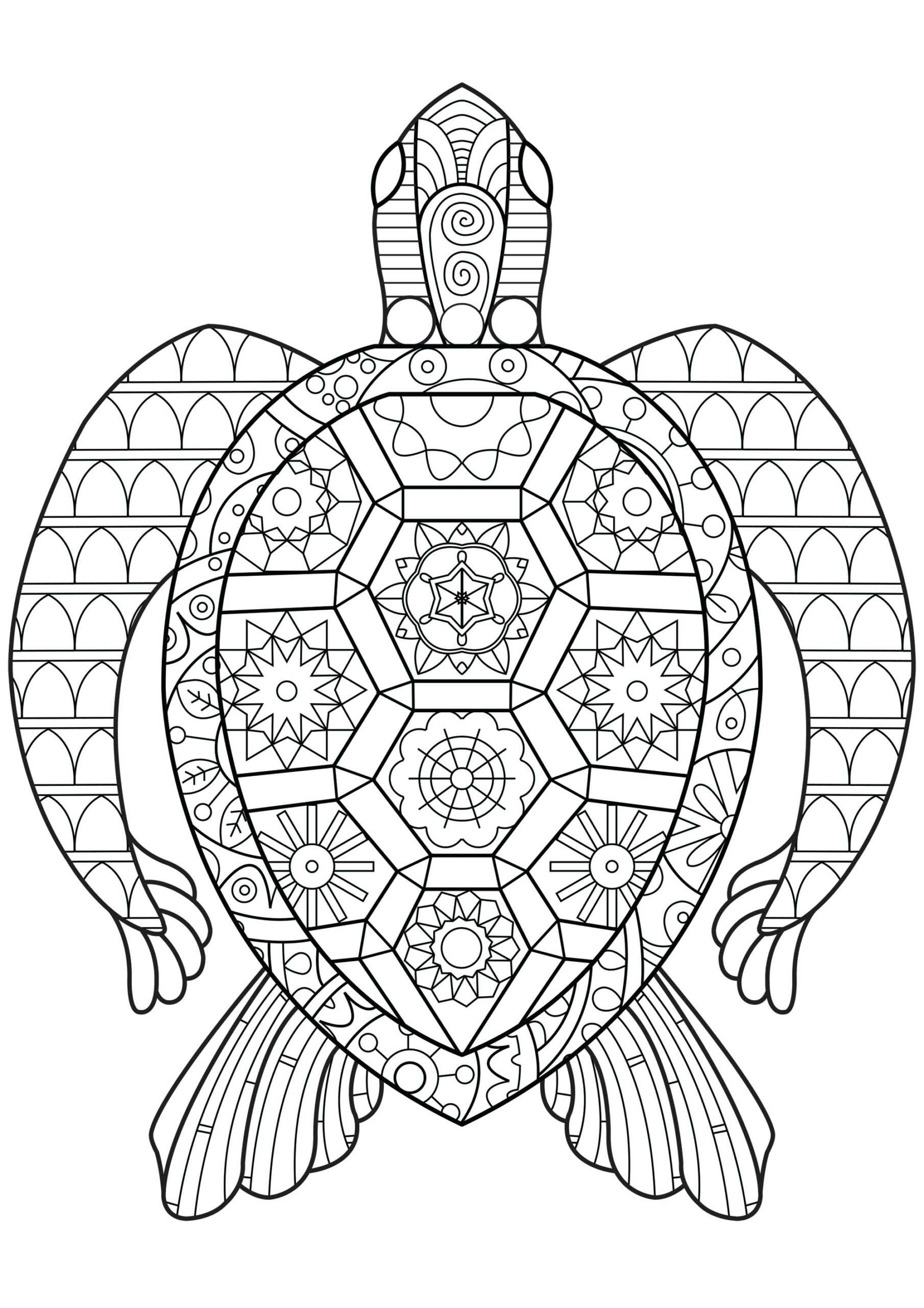 Turtle With Geometric Shapes Turtle Coloring Pages Turtle With Geometric Shapes Turtle Coloring Pages