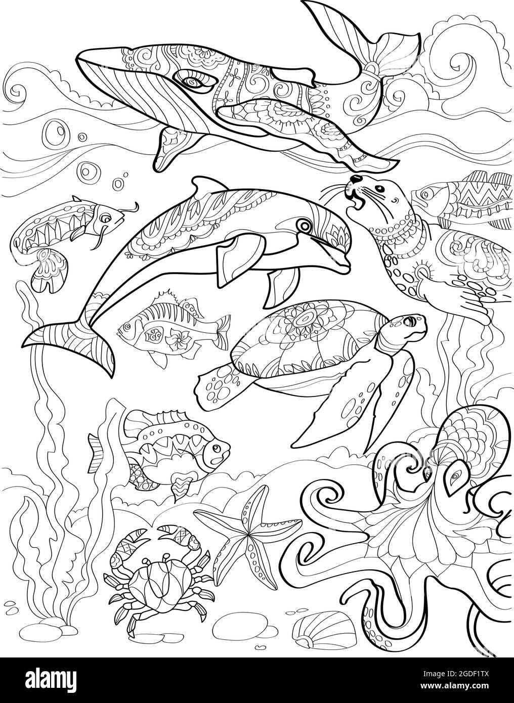 Underwater Sea With Different Aquatic Creatures Swimming Colorless Line Drawing Ocean Animals Whale Dolphin Crab Seal Octopus Turtle Coloring Book Stock Vector Image Art Alamy Underwater Sea With Different Aquatic Creatures Swimming Colorless Line Drawing Ocean Animals Whale Dolphin Crab Seal Octopus Turtle Coloring Book Stock Vector Image Art Alamy