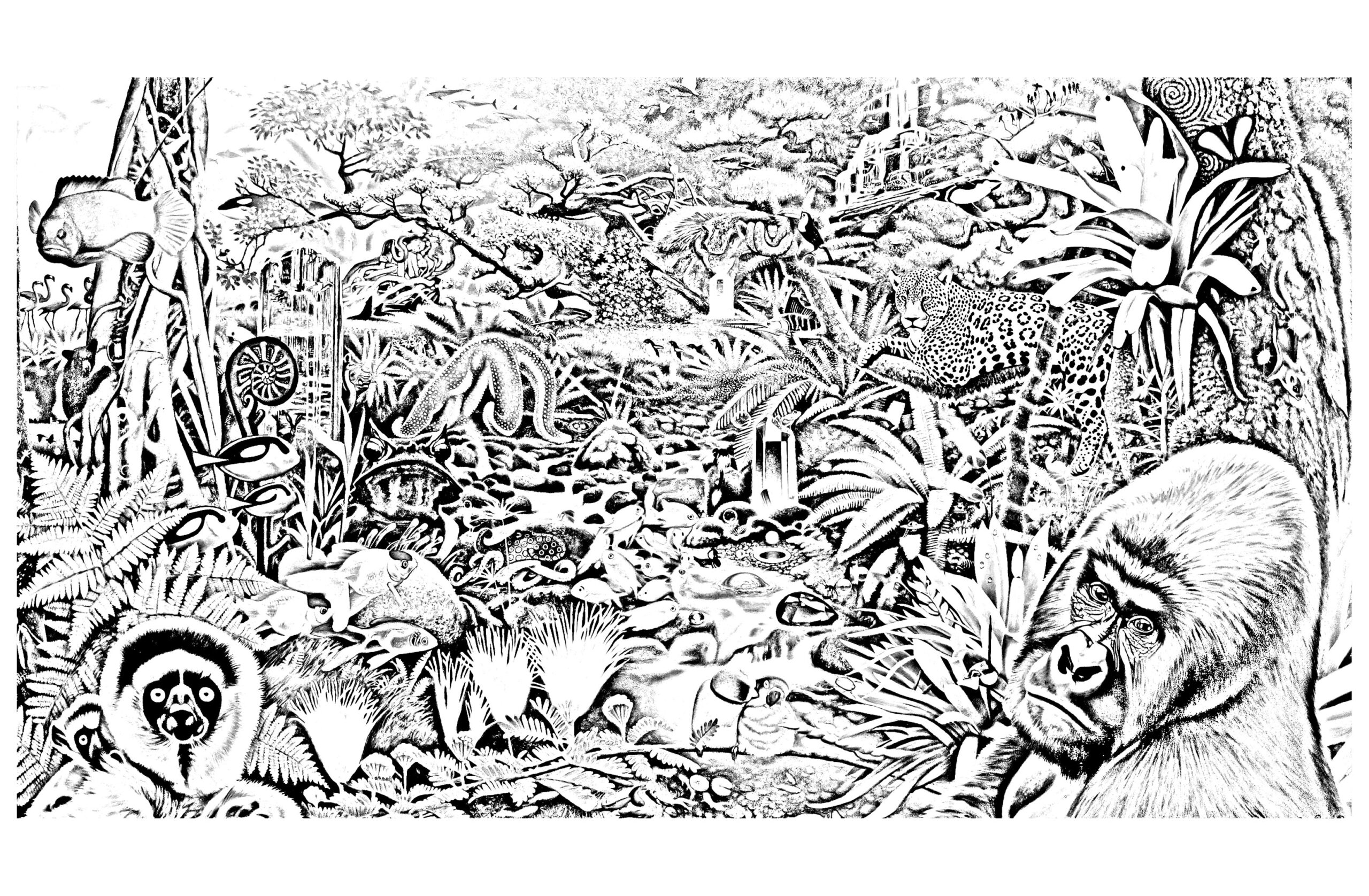 Various Animals In A Forest Jungle Forest Coloring Pages Various Animals In A Forest Jungle Forest Coloring Pages