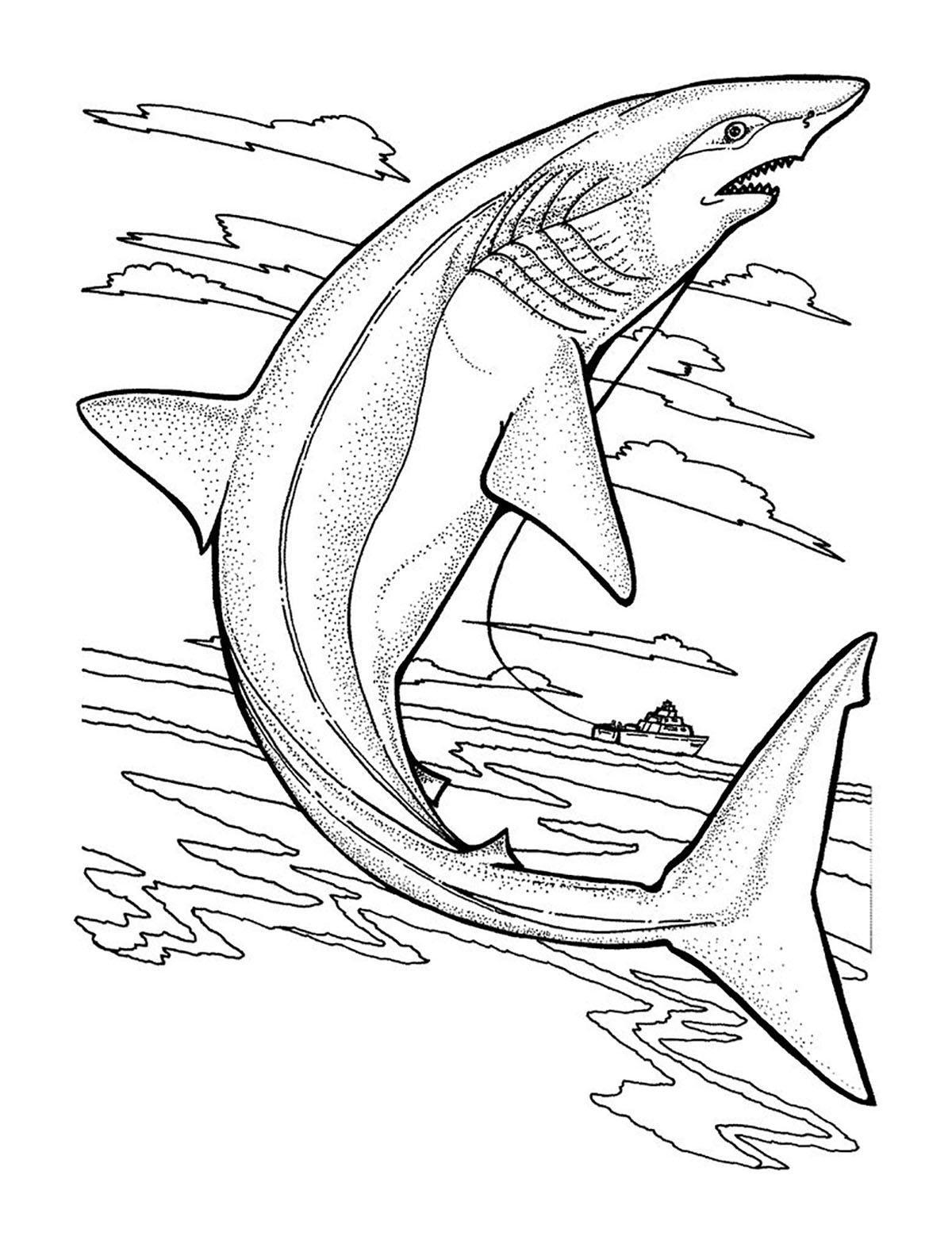 shark images to color shark images to color