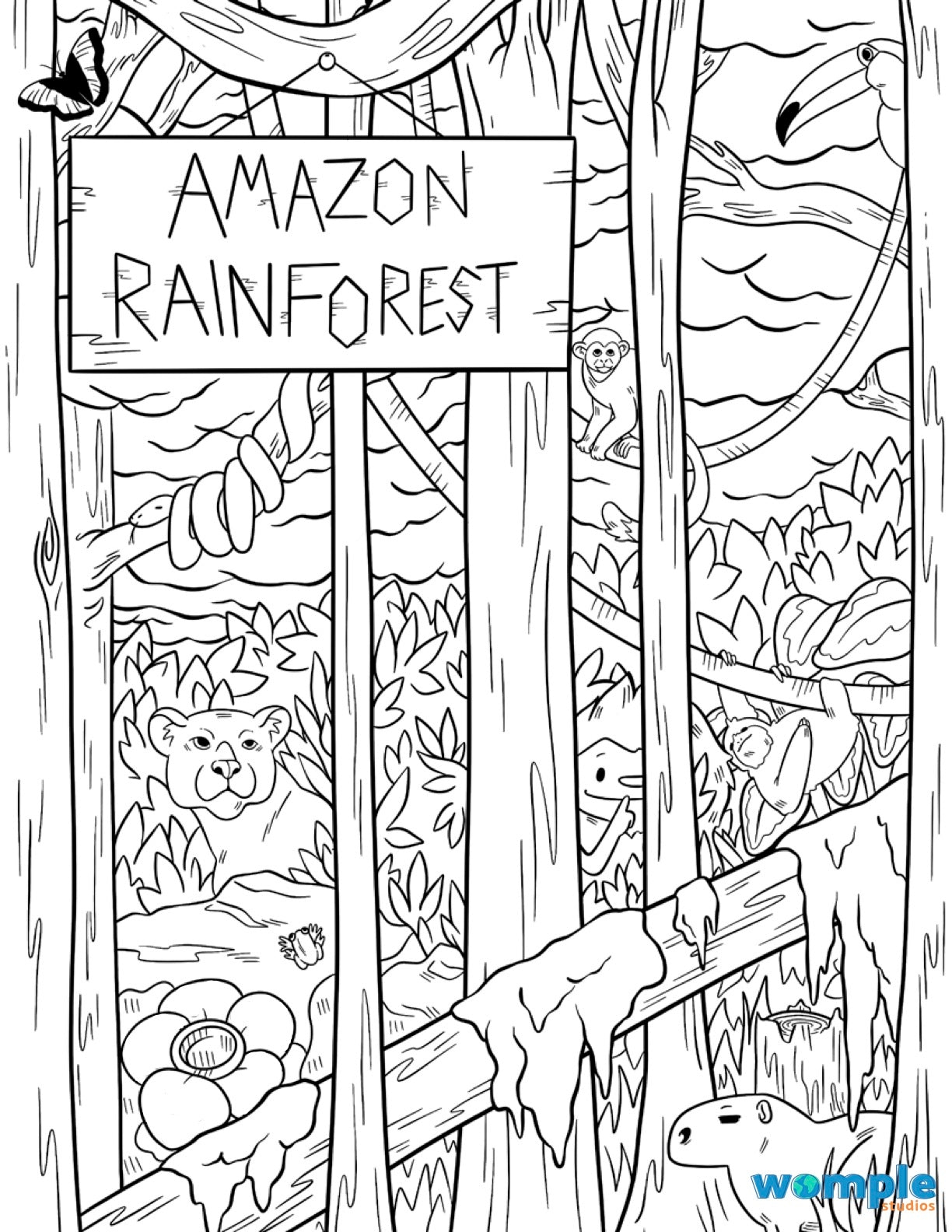 Womple Studios Amazon Rainforest Hidden Picture Worksheets Library Womple Studios Amazon Rainforest Hidden Picture Worksheets Library
