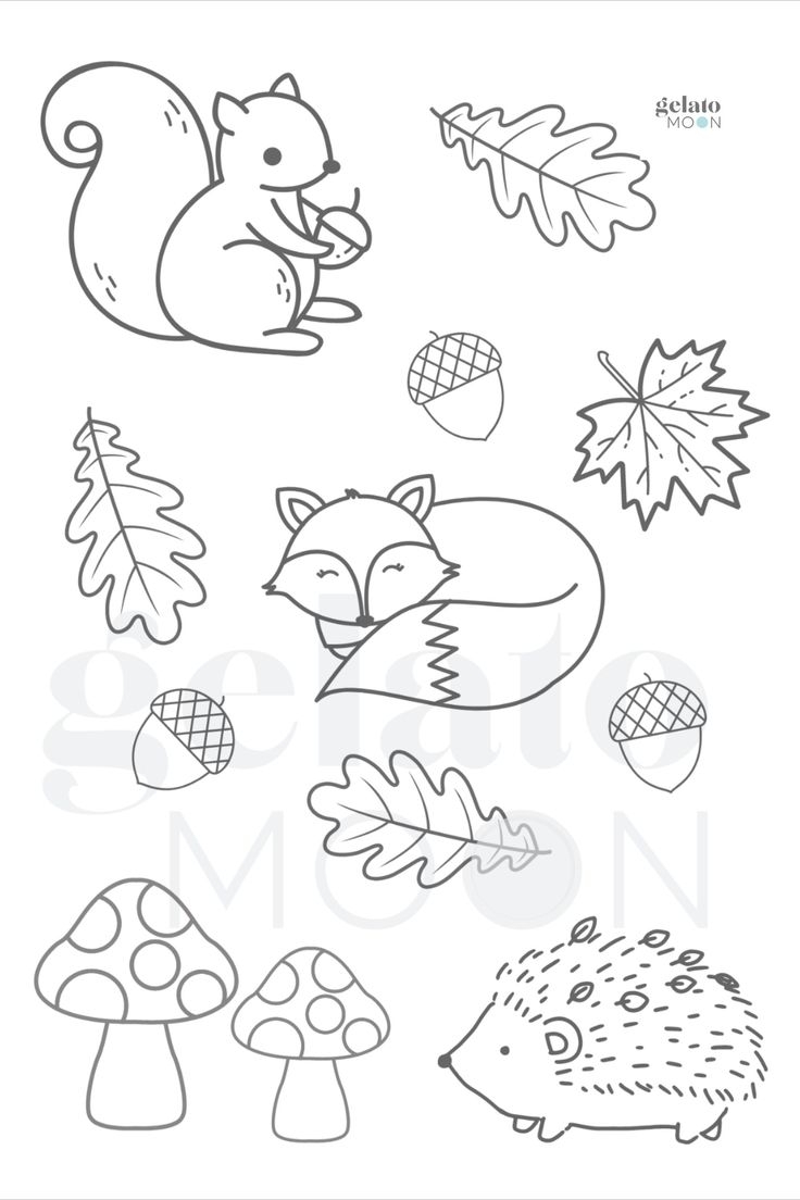 woodland animals coloring pages woodland animals coloring pages