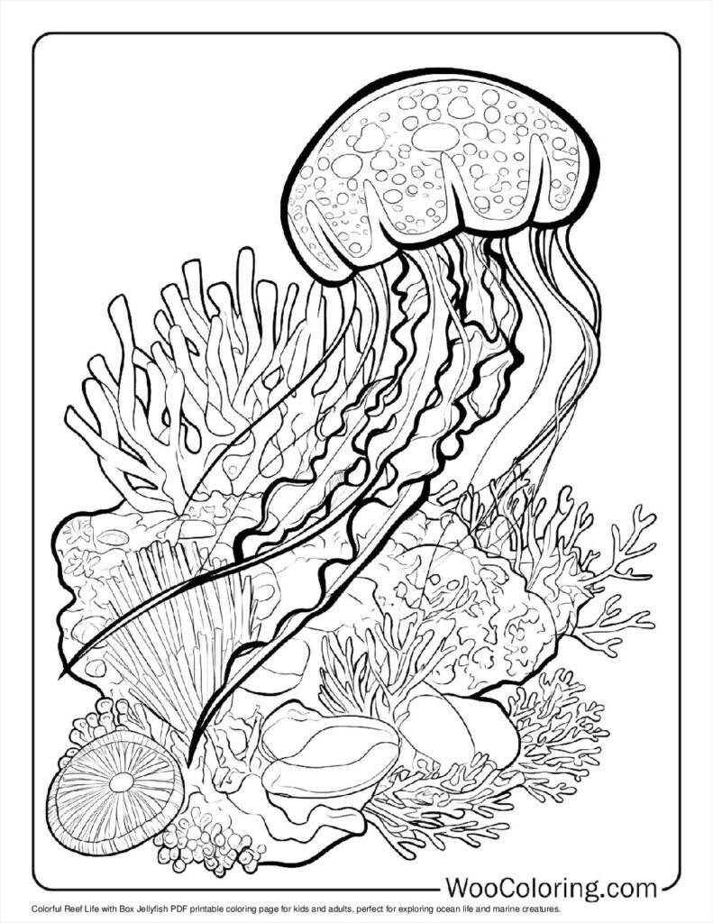 100 Jellyfish Coloring Pages Free PDF To Print Woo Coloring