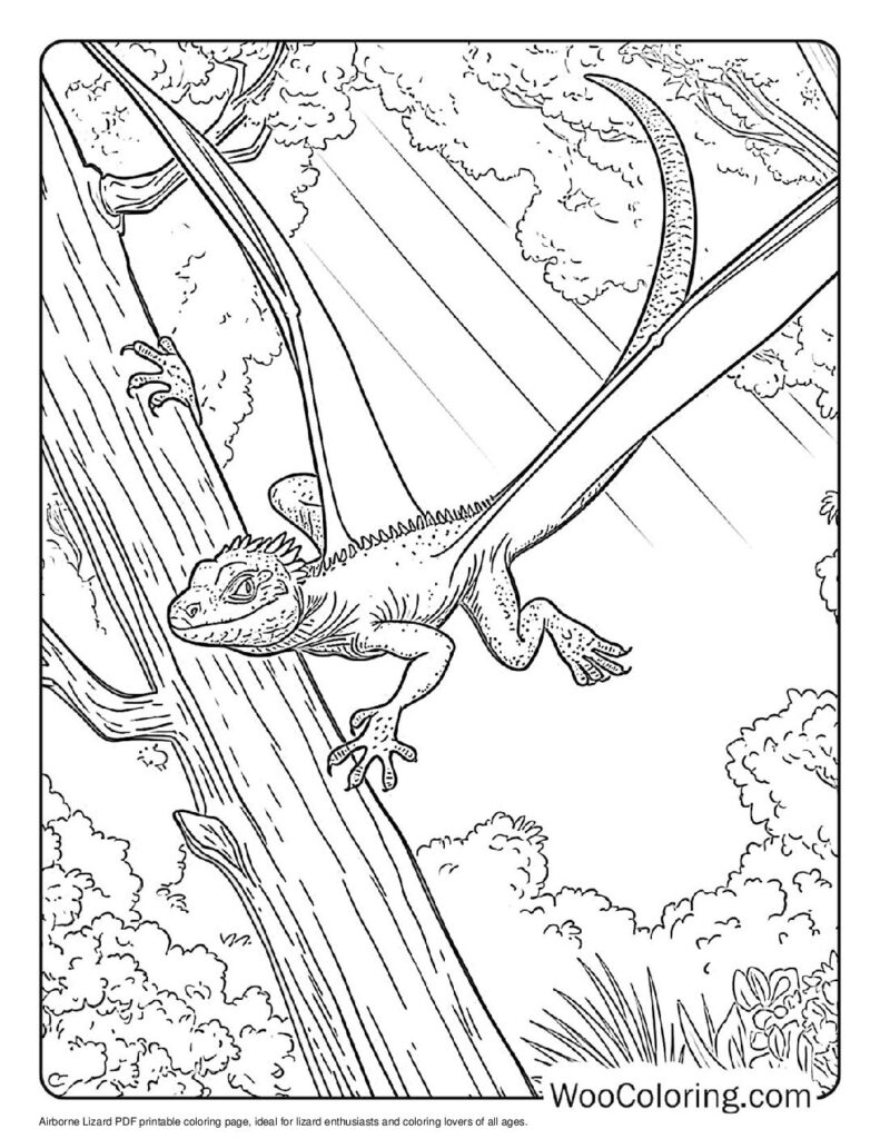 coloring page of lizard