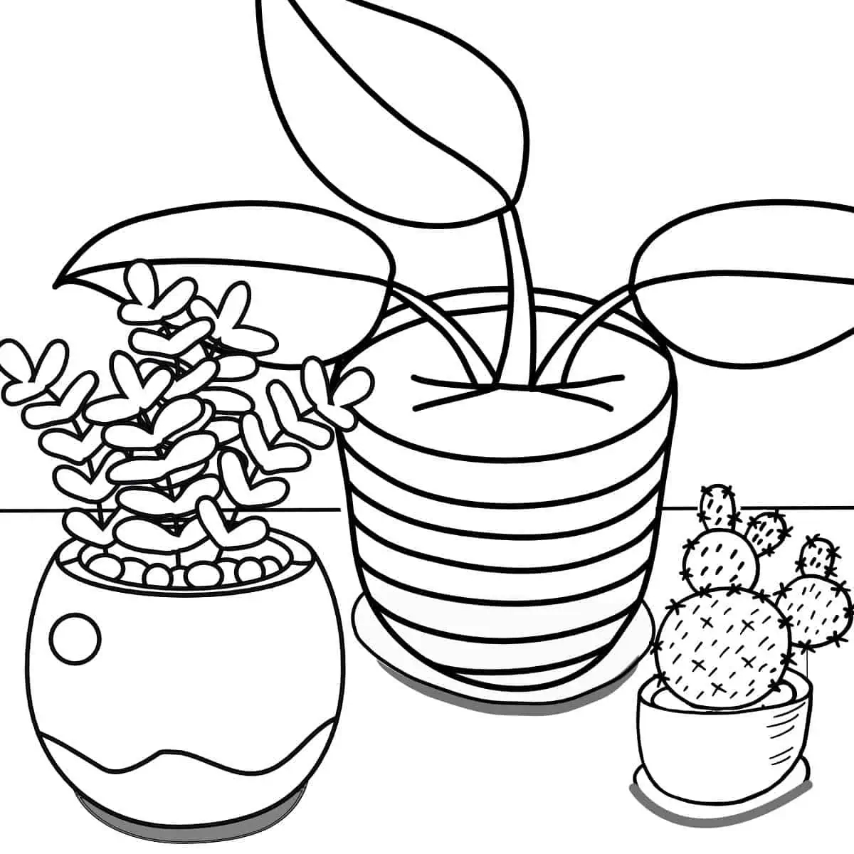 coloring pages for plants coloring pages for plants