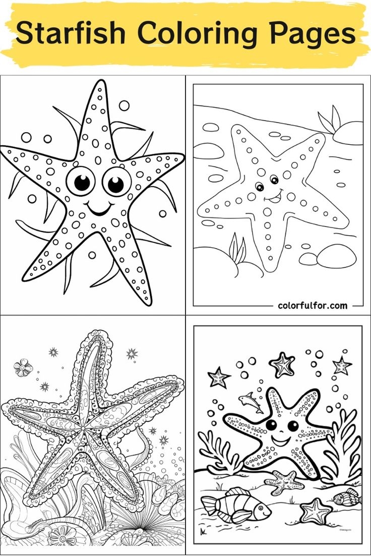 34 Starfish Coloring Pages Free PDF Printables 
