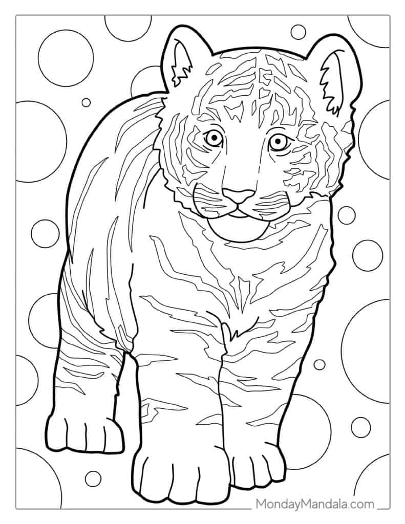 40 Tiger Coloring Pages Free PDF Printables 