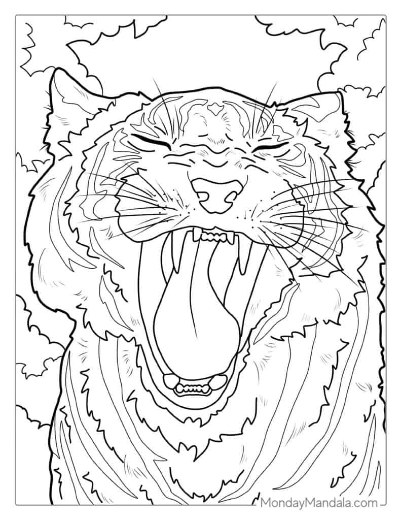 40 Tiger Coloring Pages Free PDF Printables 