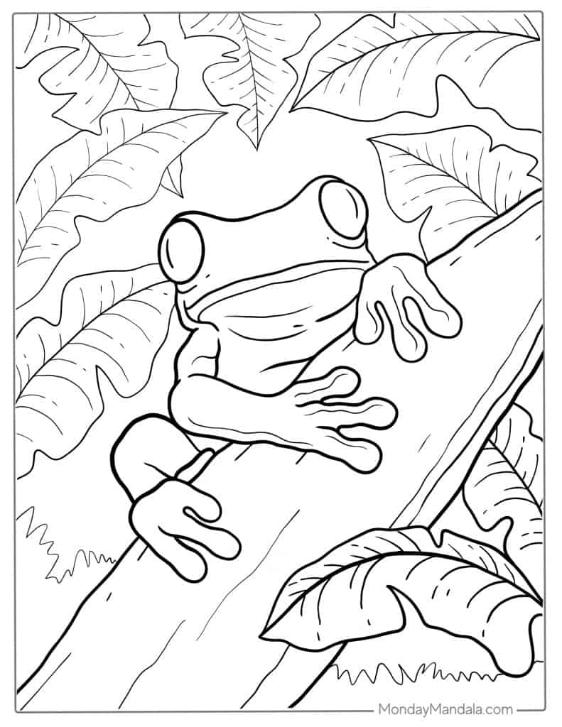 47 Frog Coloring Pages Free PDF Printables