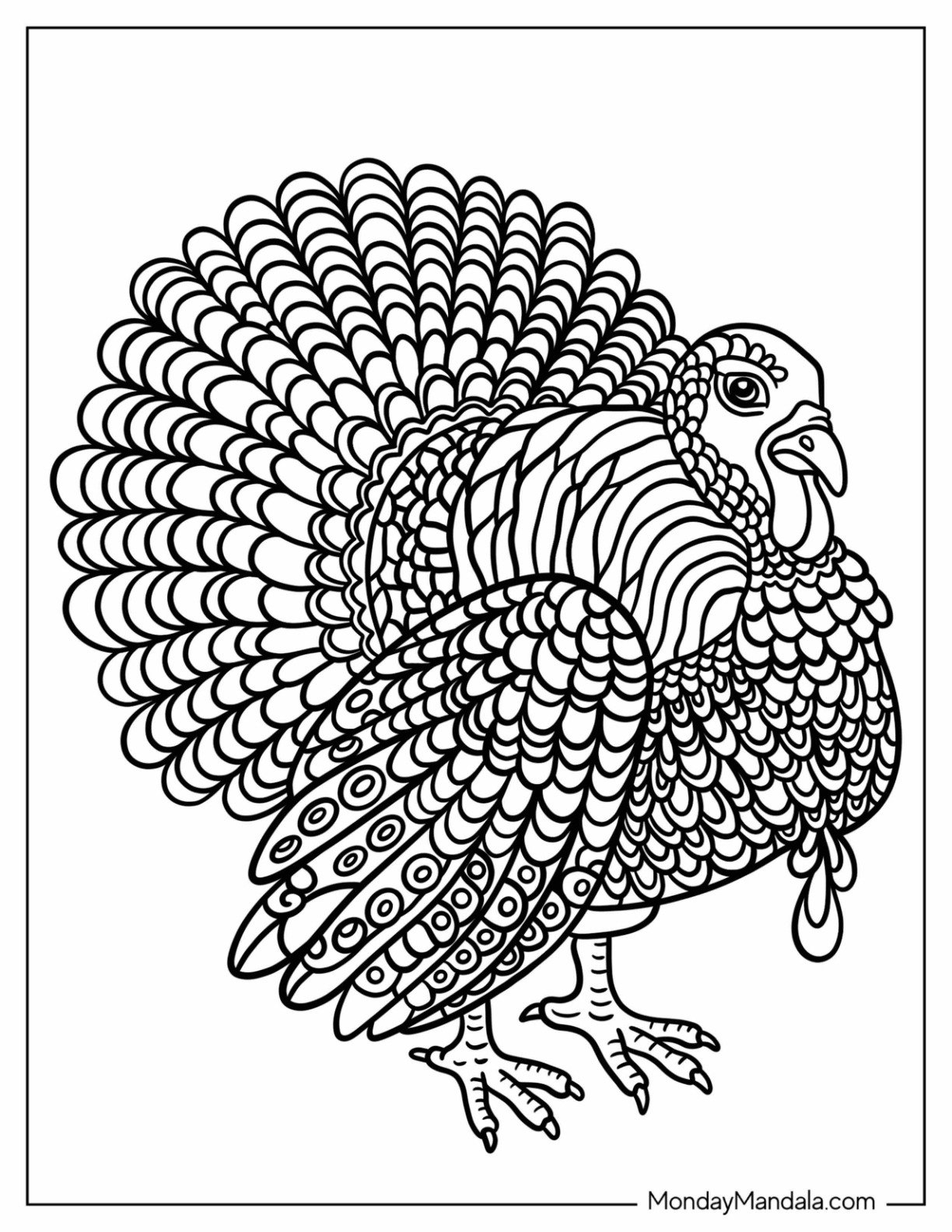 coloring page of a turkey