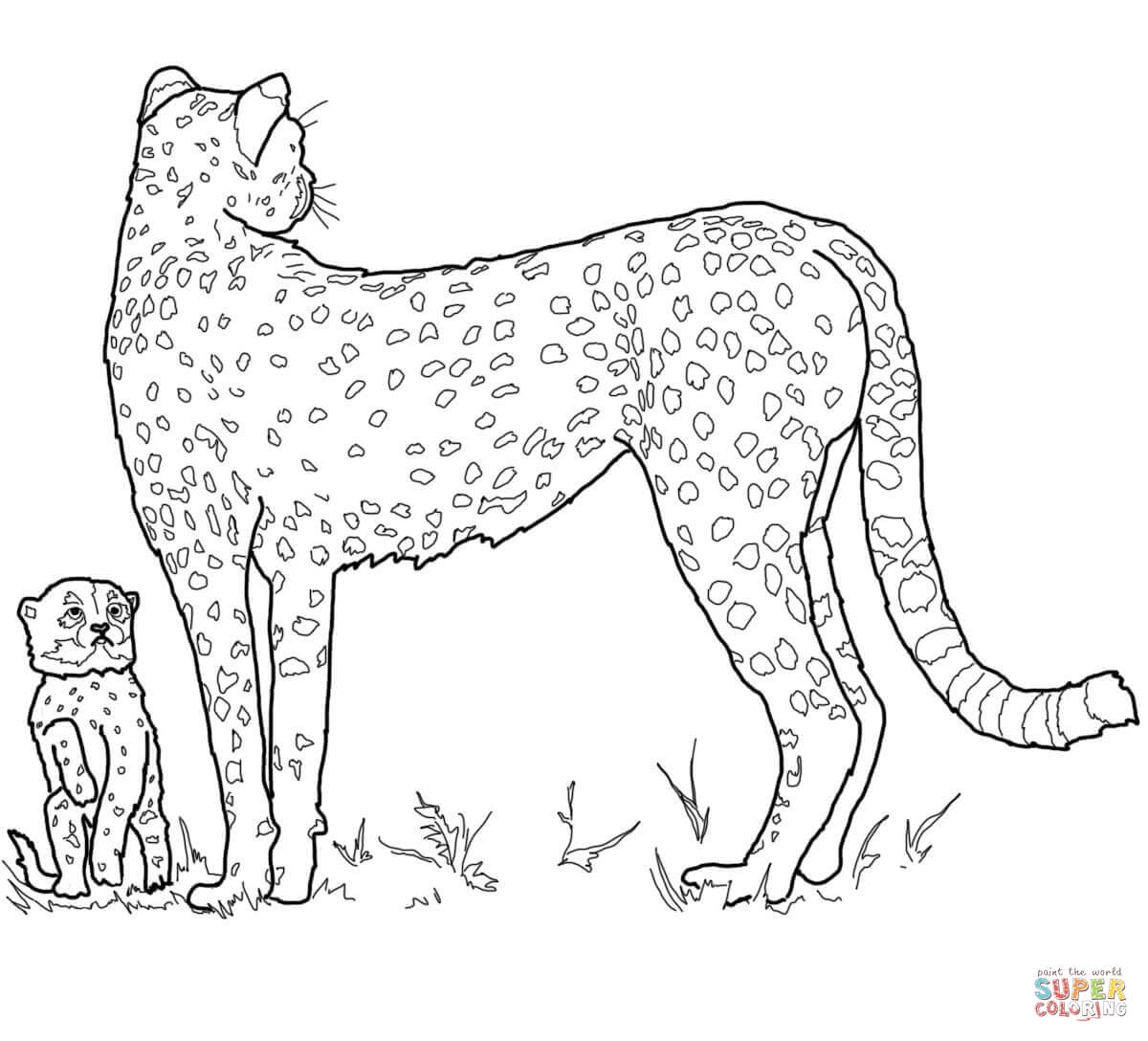 Baby Cheetah And Mother Coloring Page Free Printable