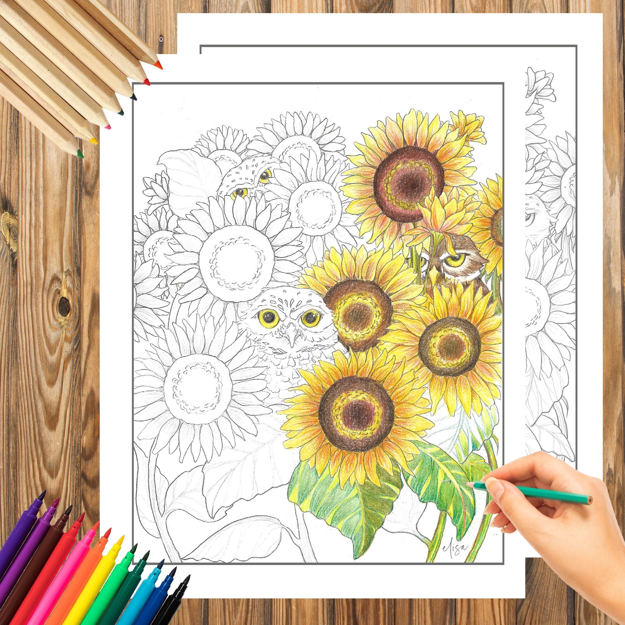 Burrowing Owls Sunflowers Original Art Coloring Page Digital Download Etsy