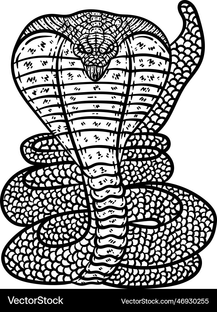 king cobra coloring page king cobra coloring page