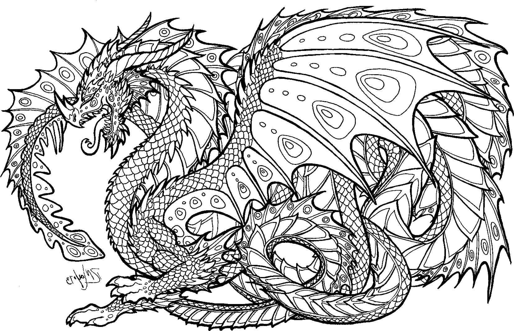 Download Realistic Dragon Coloring Pages For Adults Adult Colouring Pages Dragon PNG Image With No Background PNGkey