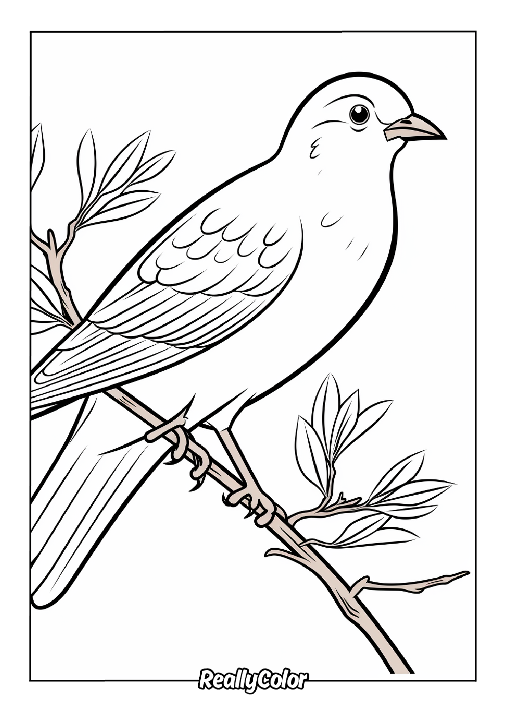 bird coloring book pages bird coloring book pages